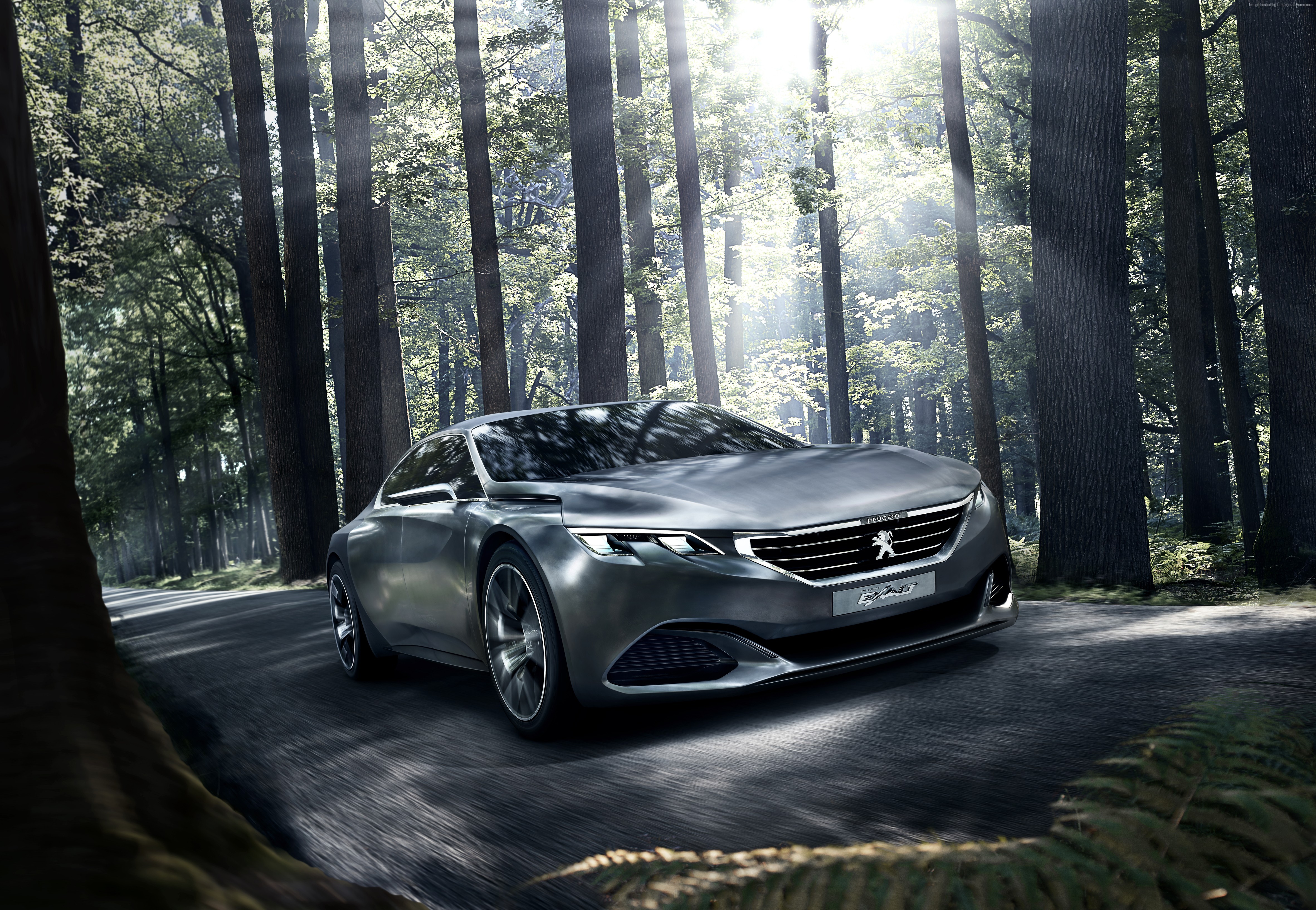 Peugeot Exalt Concept Car in Forest HD Wallpaper