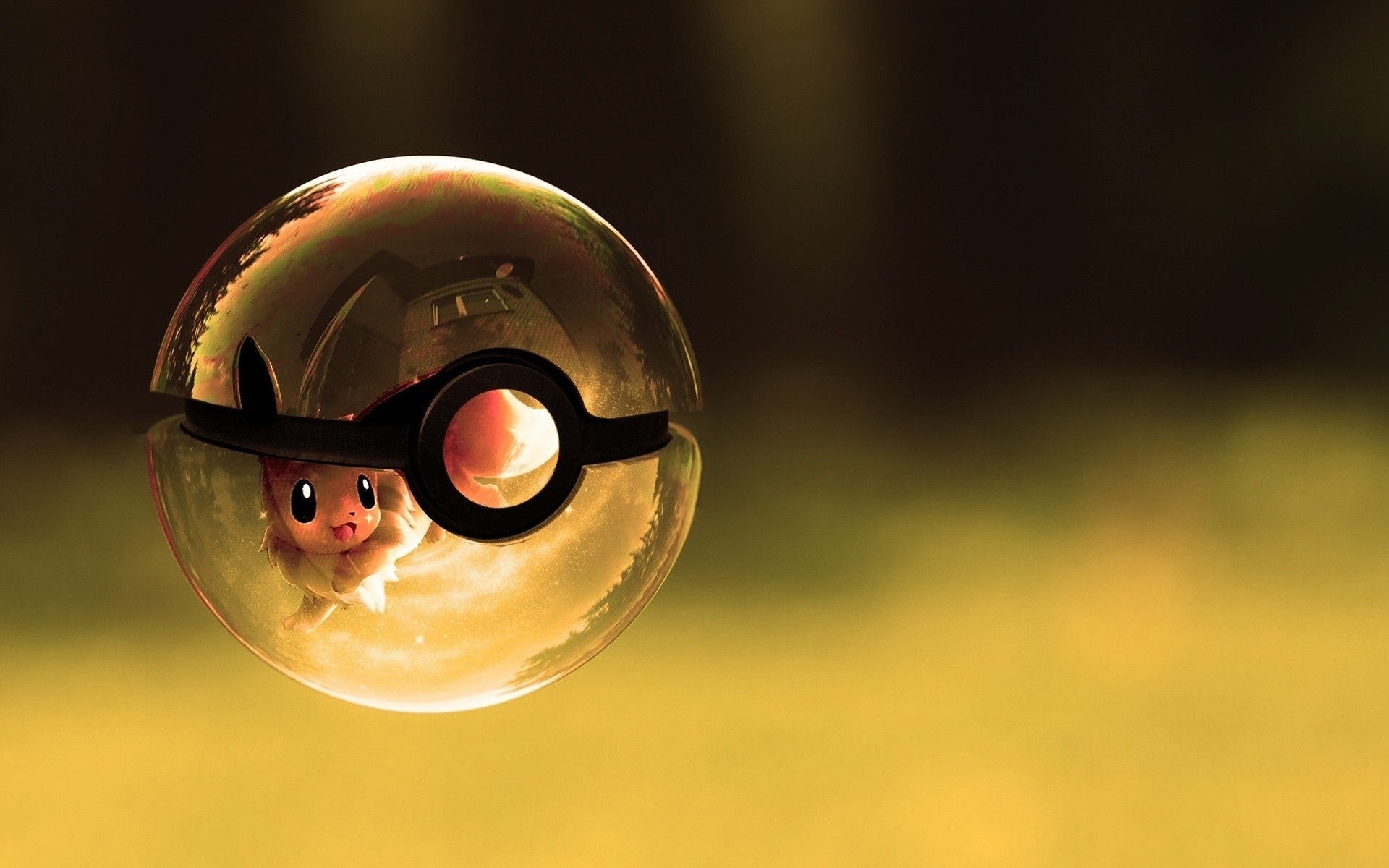Eevee in a Pokeball HD Wallpaper