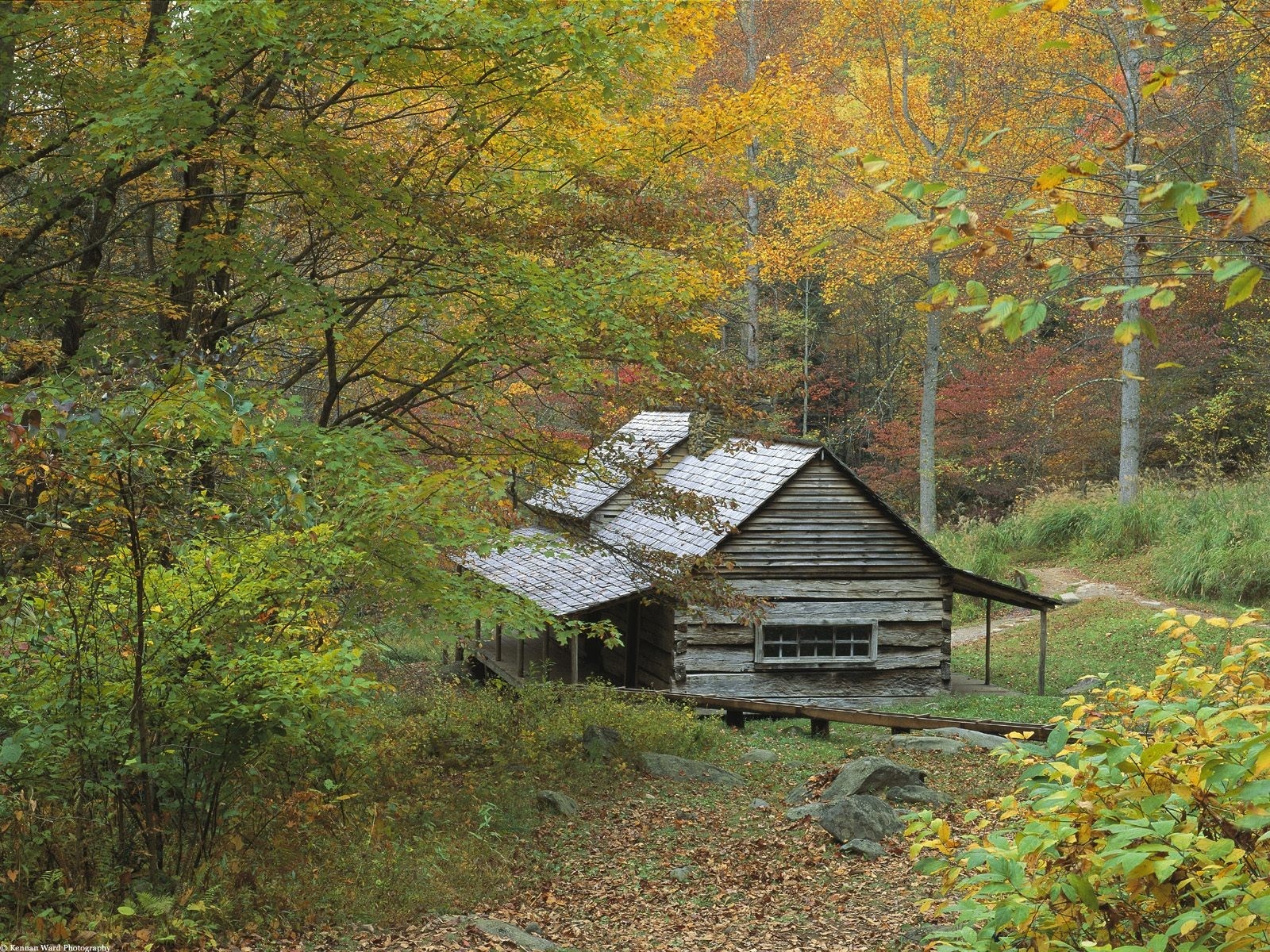Log cabin in a forest during autumn HD Wallpaper