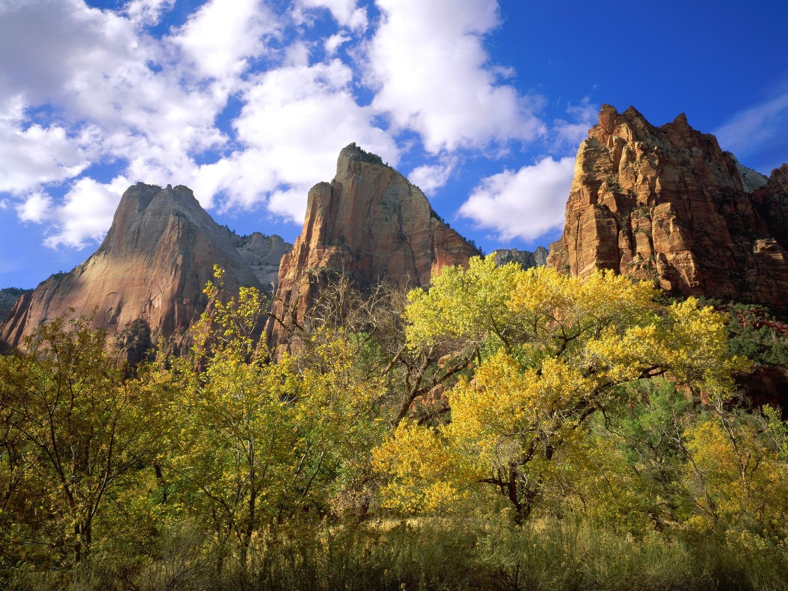 Autumn trees in front of Zion National Park mountains HD Wallpaper