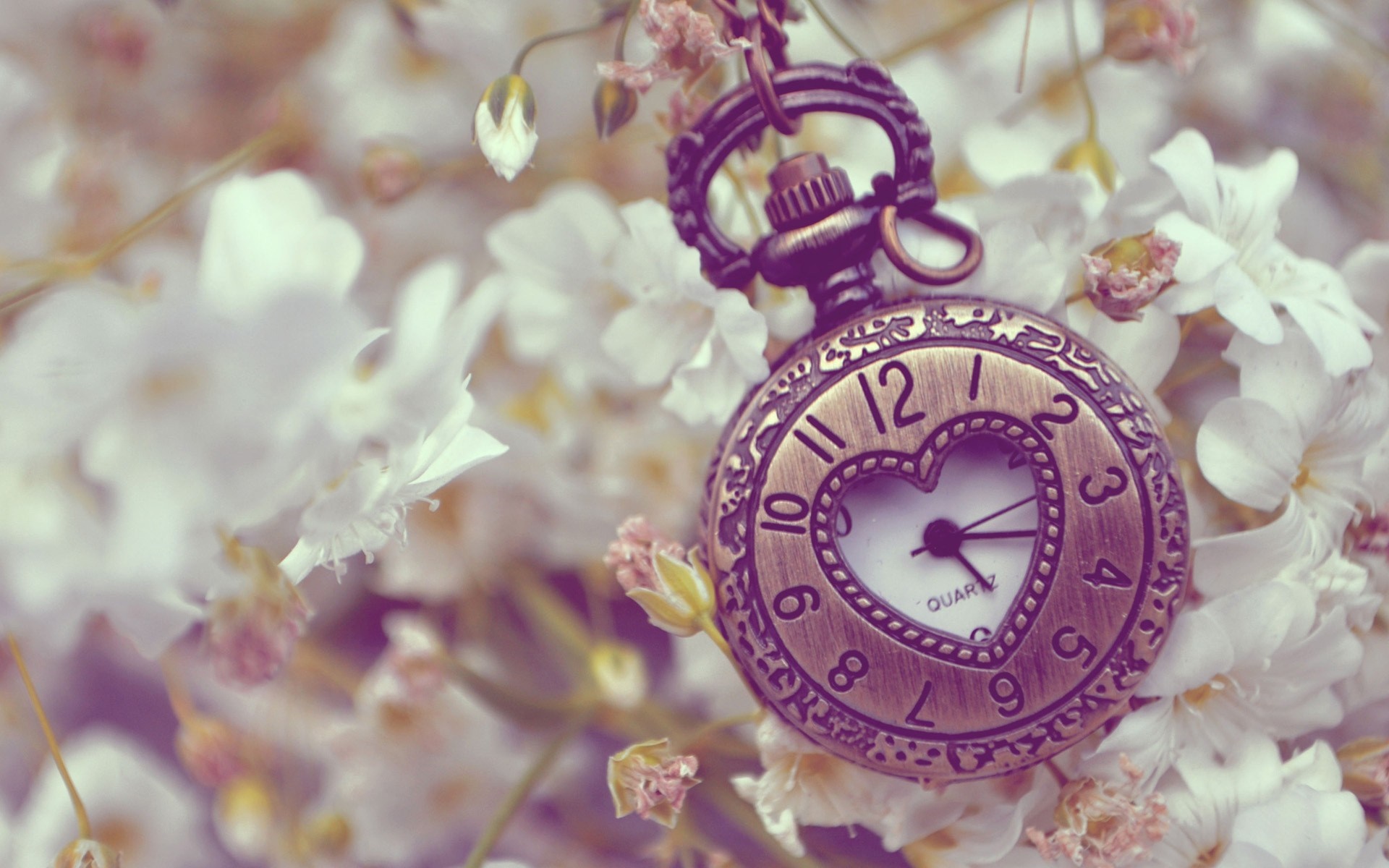 Close-up of a vintage pocket watch with a heart-shaped face surrounded by white flowers HD Wallpaper