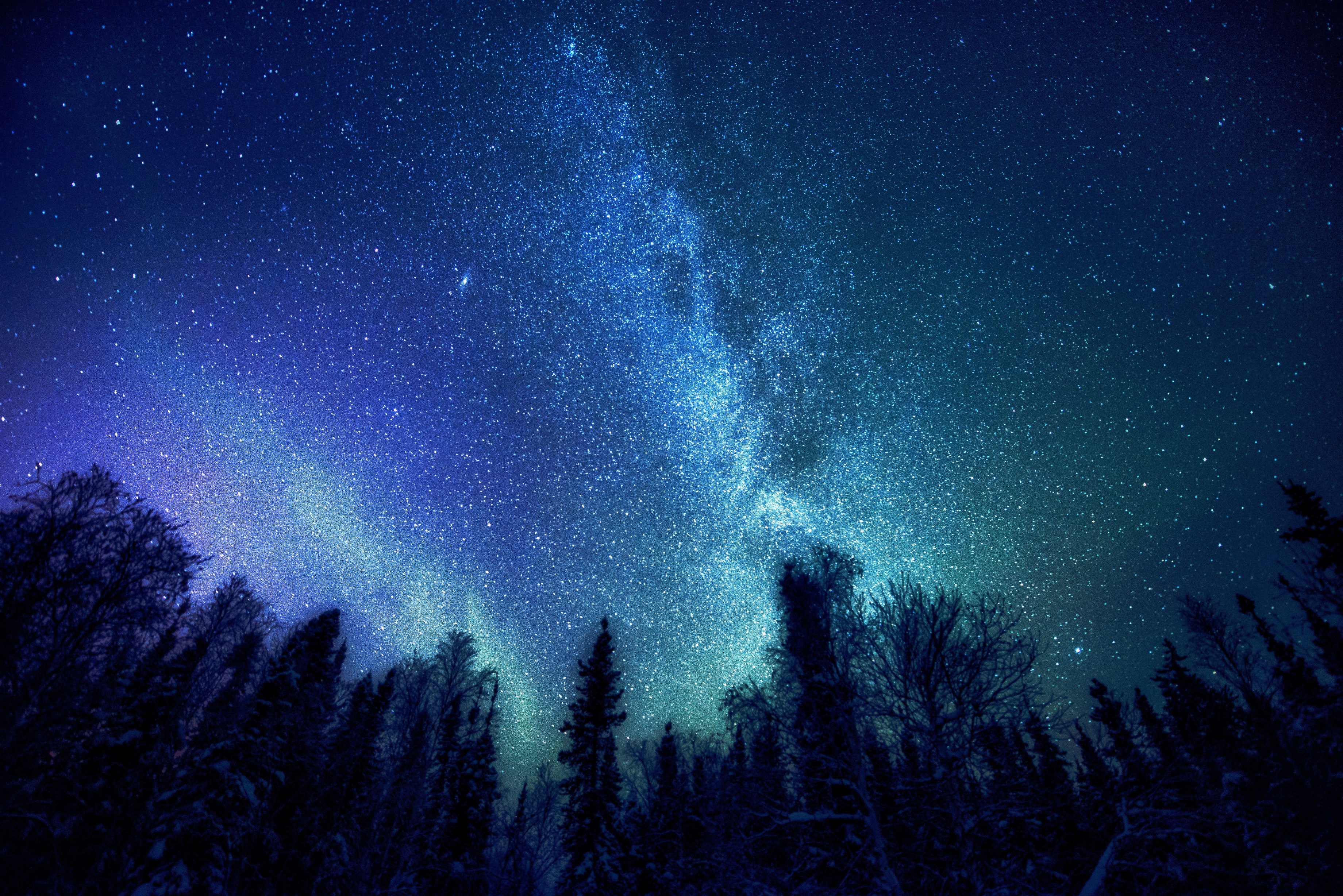 Night sky with Milky Way over forest HD Wallpaper