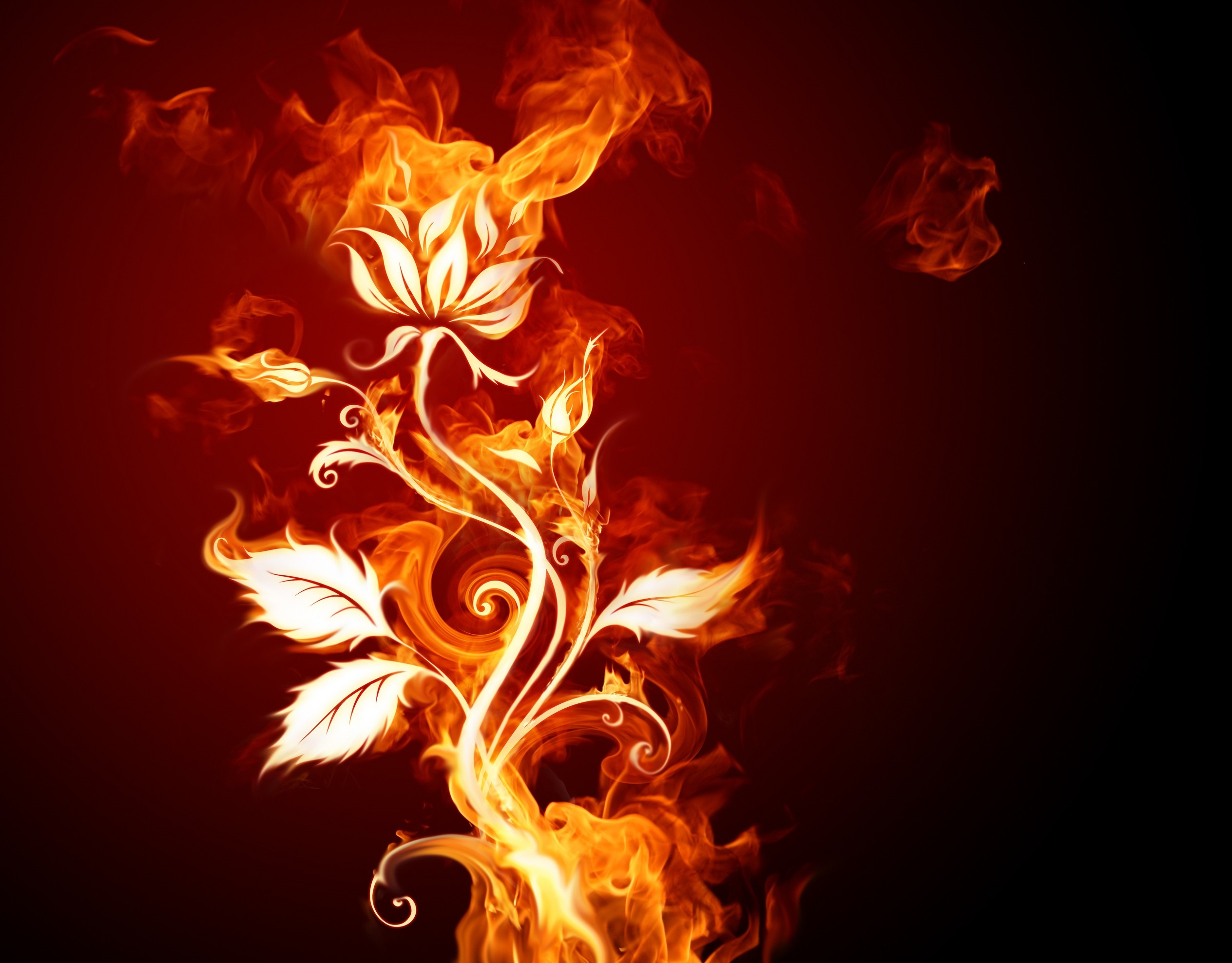 Floral design made of fire and smoke HD Wallpaper