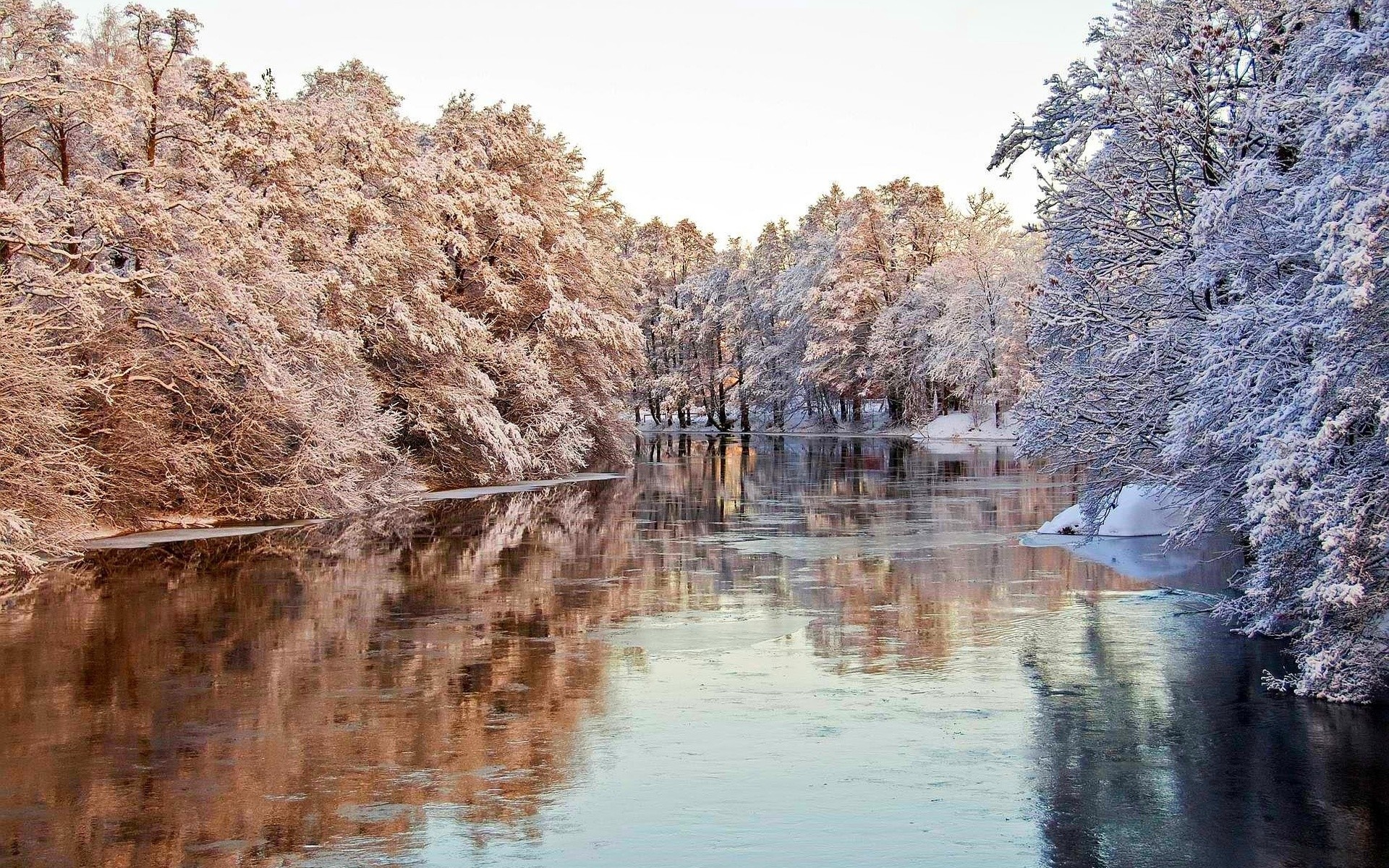 Winter river landscape with snow-covered trees and reflections HD Wallpaper