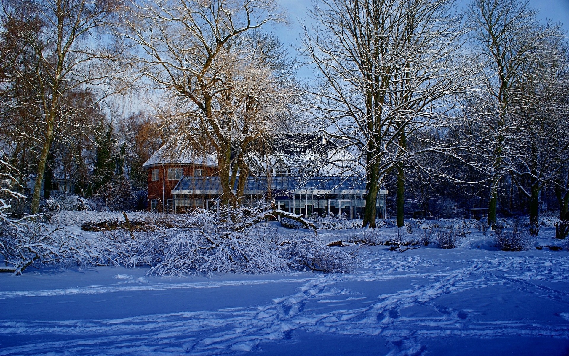 Snow covered landscape with trees and a building HD Wallpaper