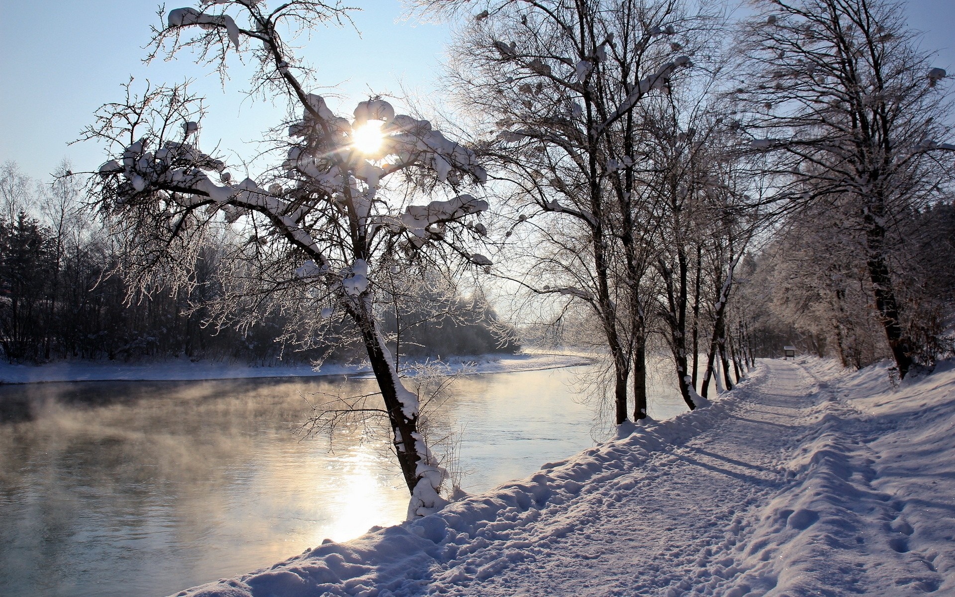 Winter riverbank with snow-covered trees and sunbeams HD Wallpaper