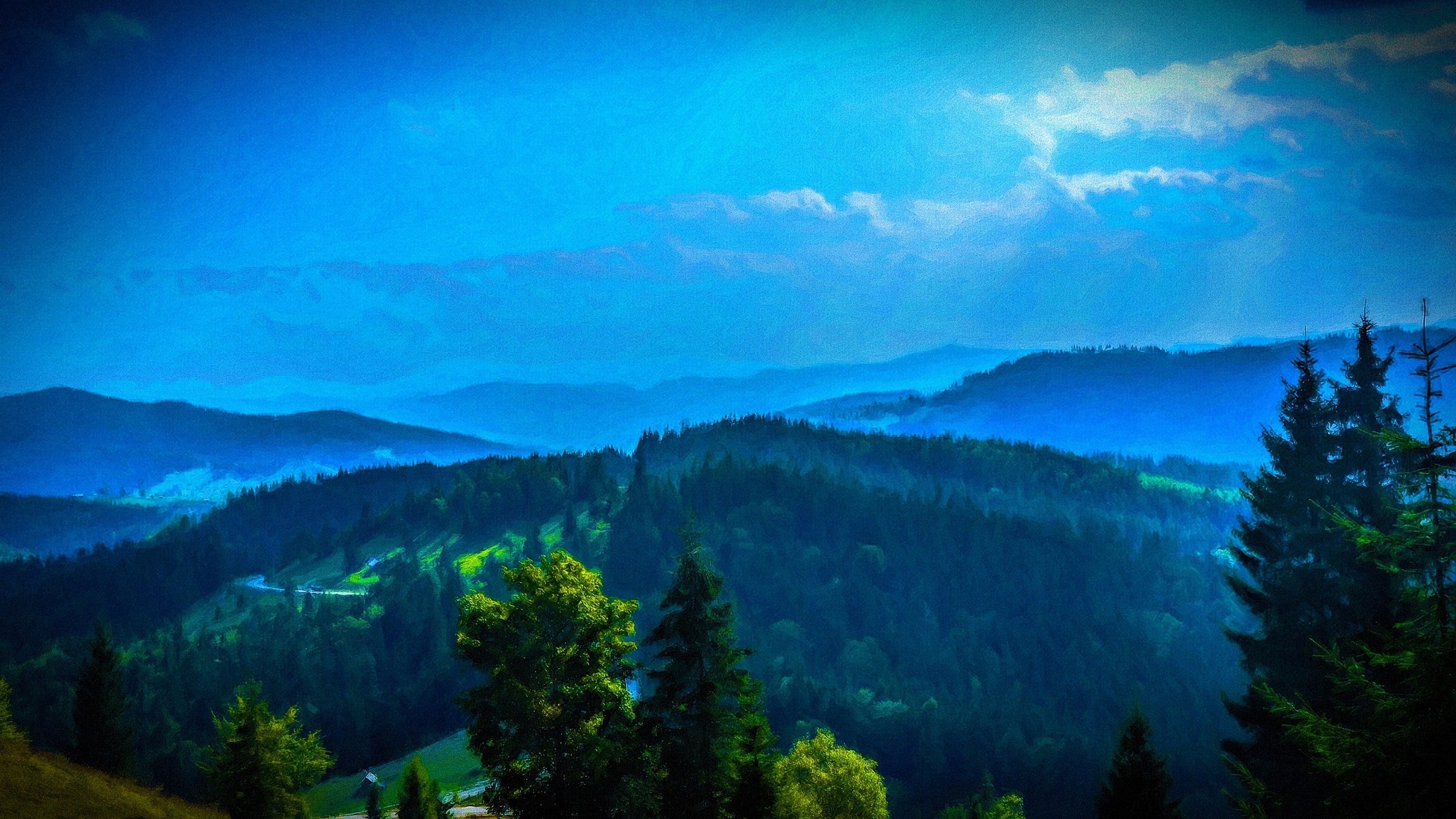 Misty mountain range with evergreen forest HD Wallpaper