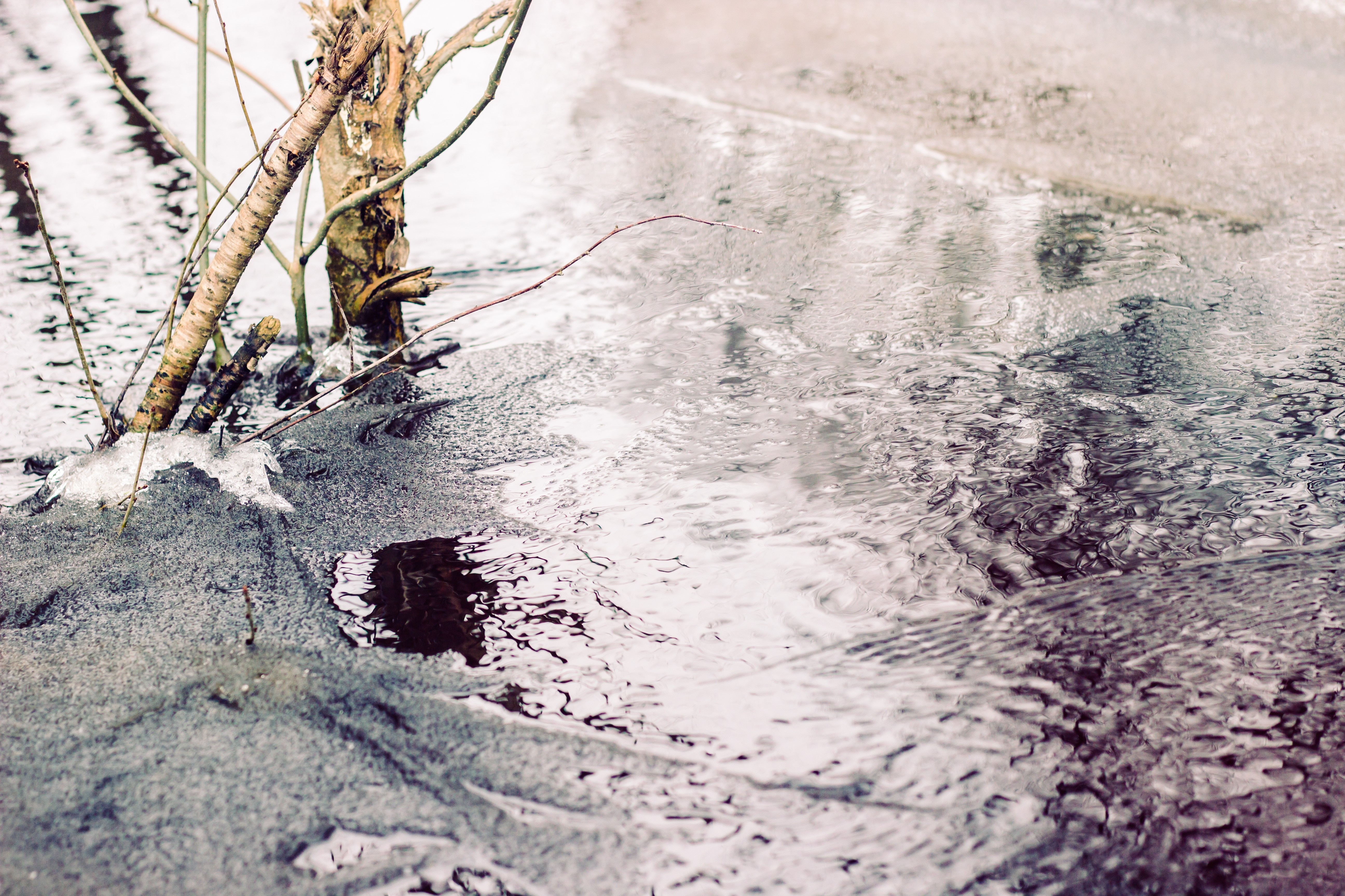 Frozen stream with branches and ice HD Wallpaper