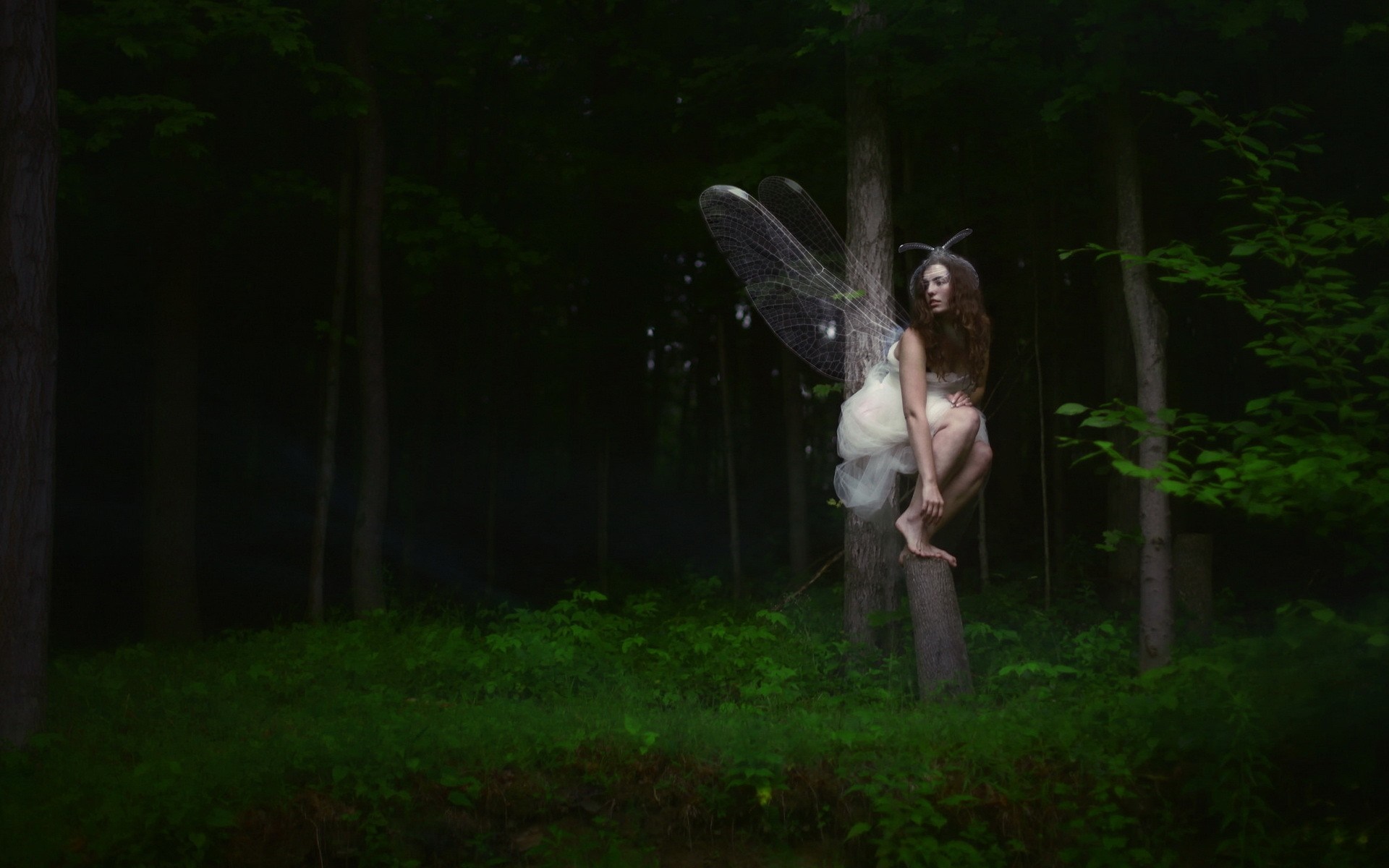 Fairy with wings sitting on a tree stump in a dark forest HD Wallpaper