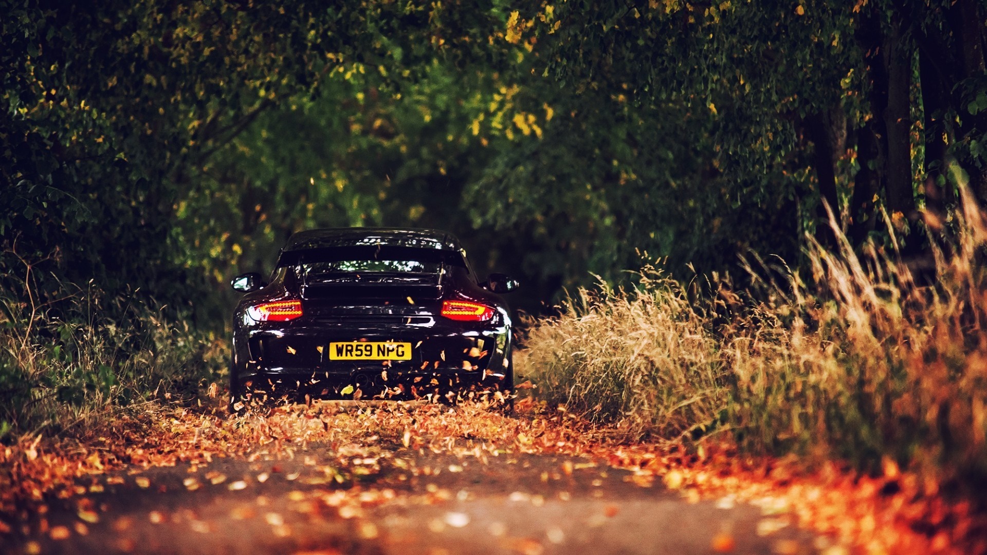 Black Porsche 911 GT3 in autumn forest HD Wallpaper