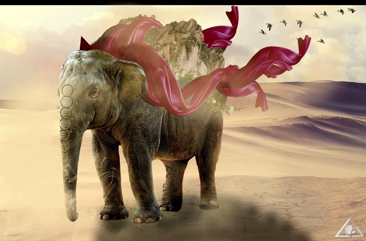Elephant with mountain and fabric in desert HD Wallpaper