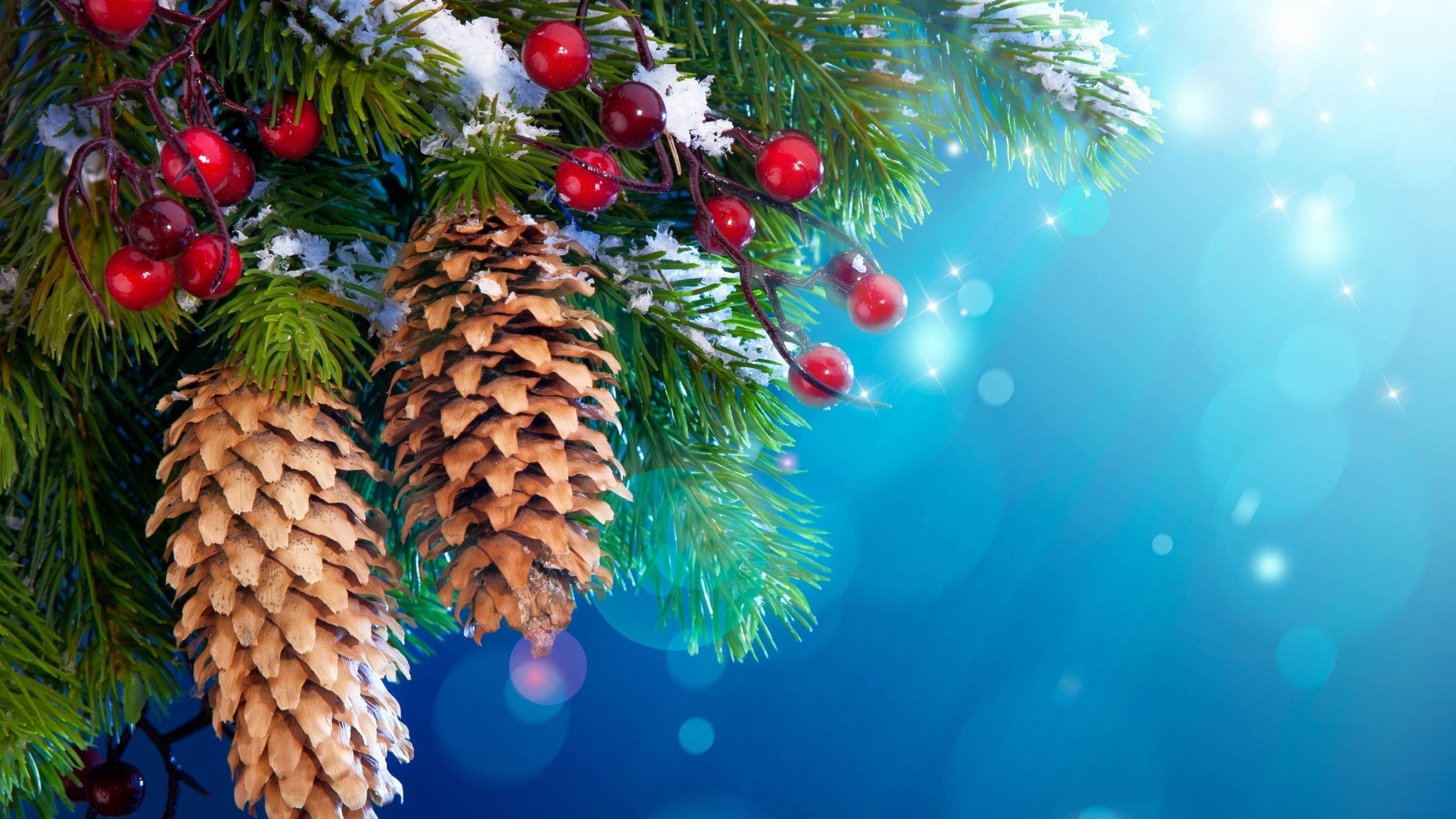Christmas tree branches with pine cones and berries HD Wallpaper