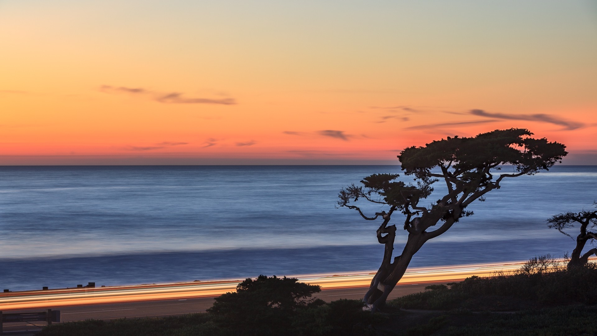 Tree silhouette against a sunset over the ocean HD Wallpaper