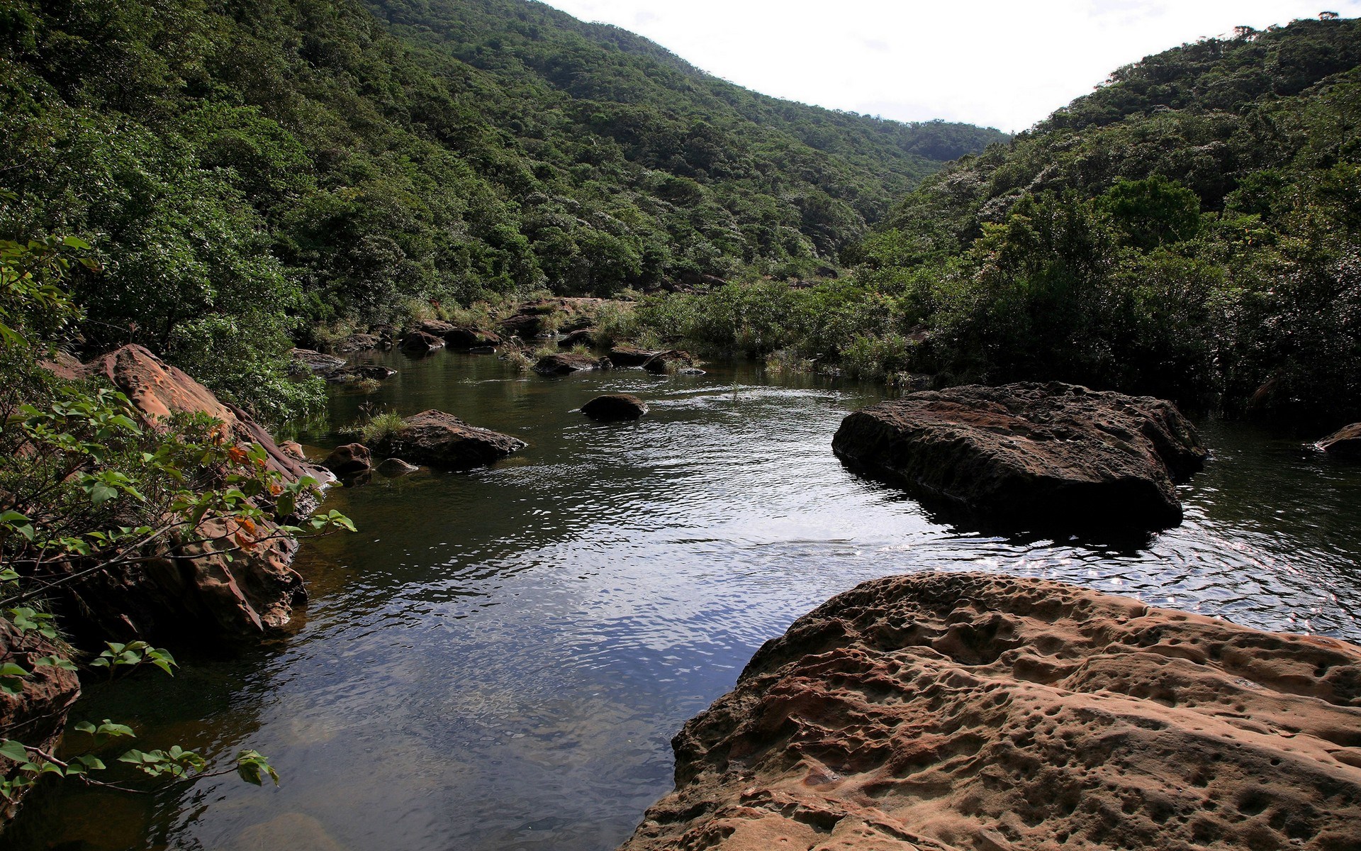 River flowing through a forested valley with rocks HD Wallpaper