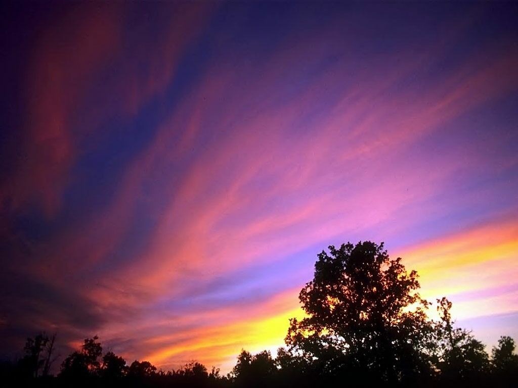 Sunset sky with colorful clouds and silhouetted trees HD Wallpaper