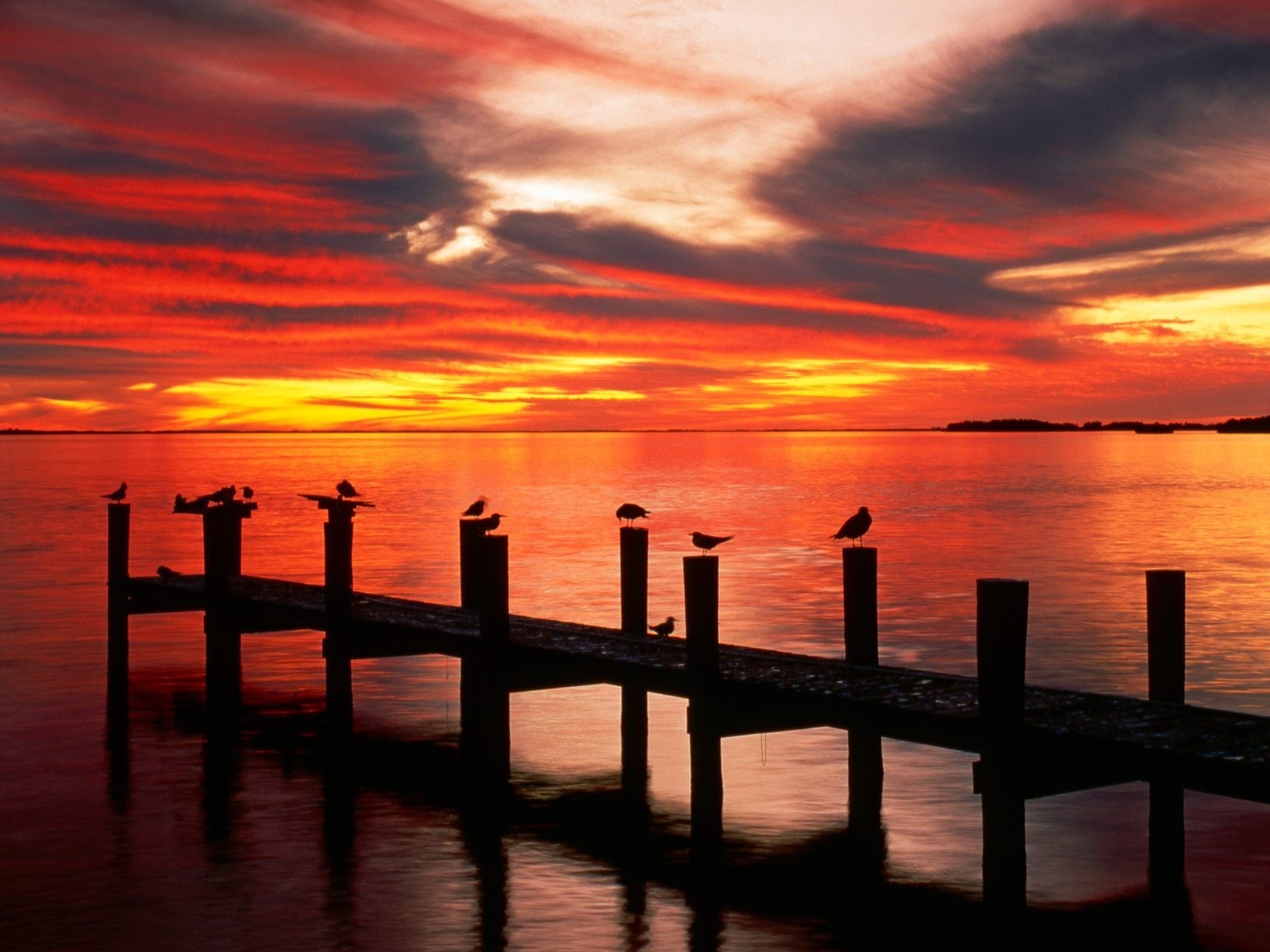 Sunset over the ocean with a pier and birds HD Wallpaper