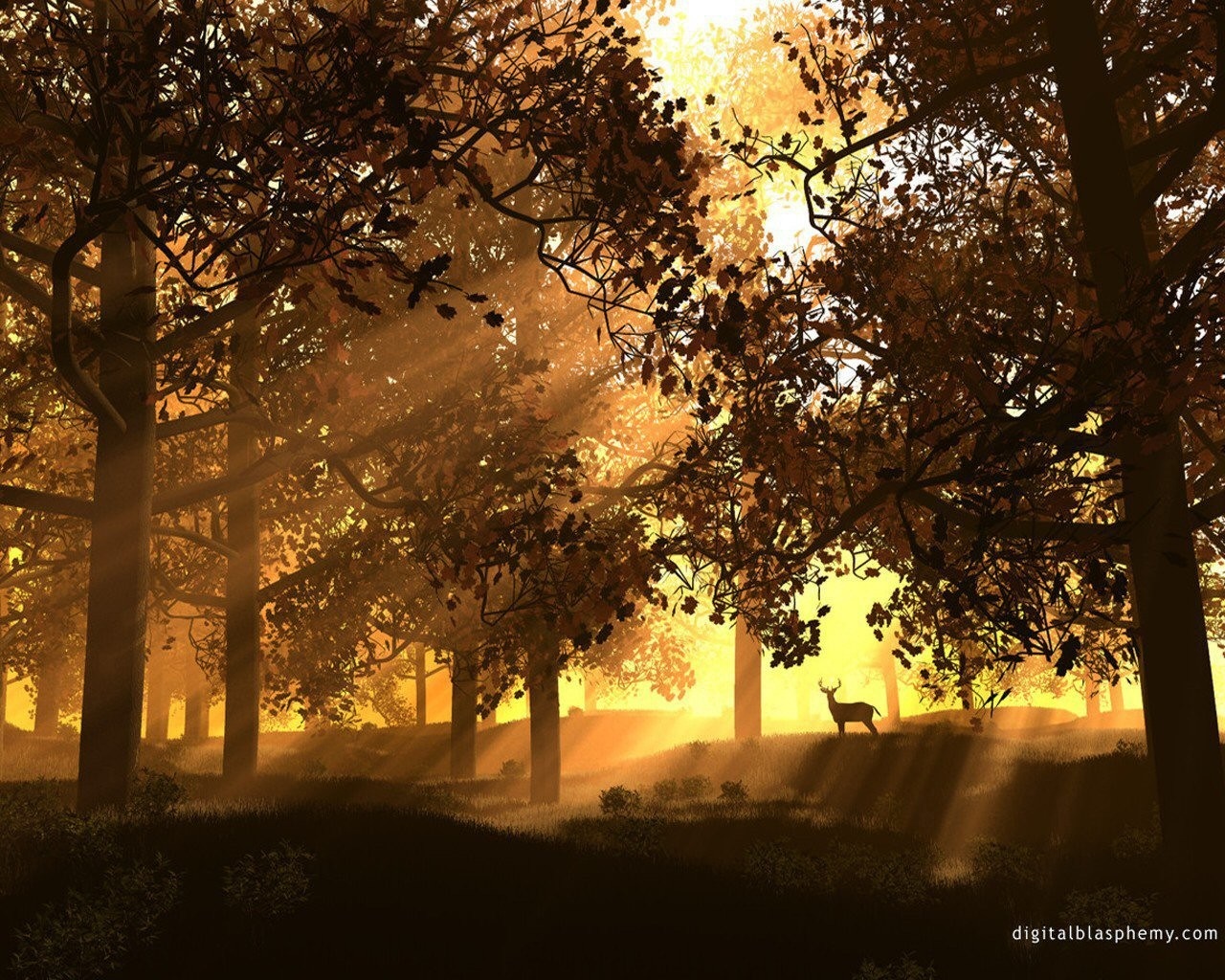 Deer in a sunlit autumn forest at dawn HD Wallpaper