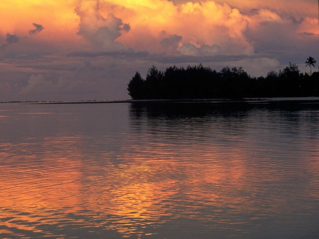 Sunset over the water with clouds and trees HD Wallpaper