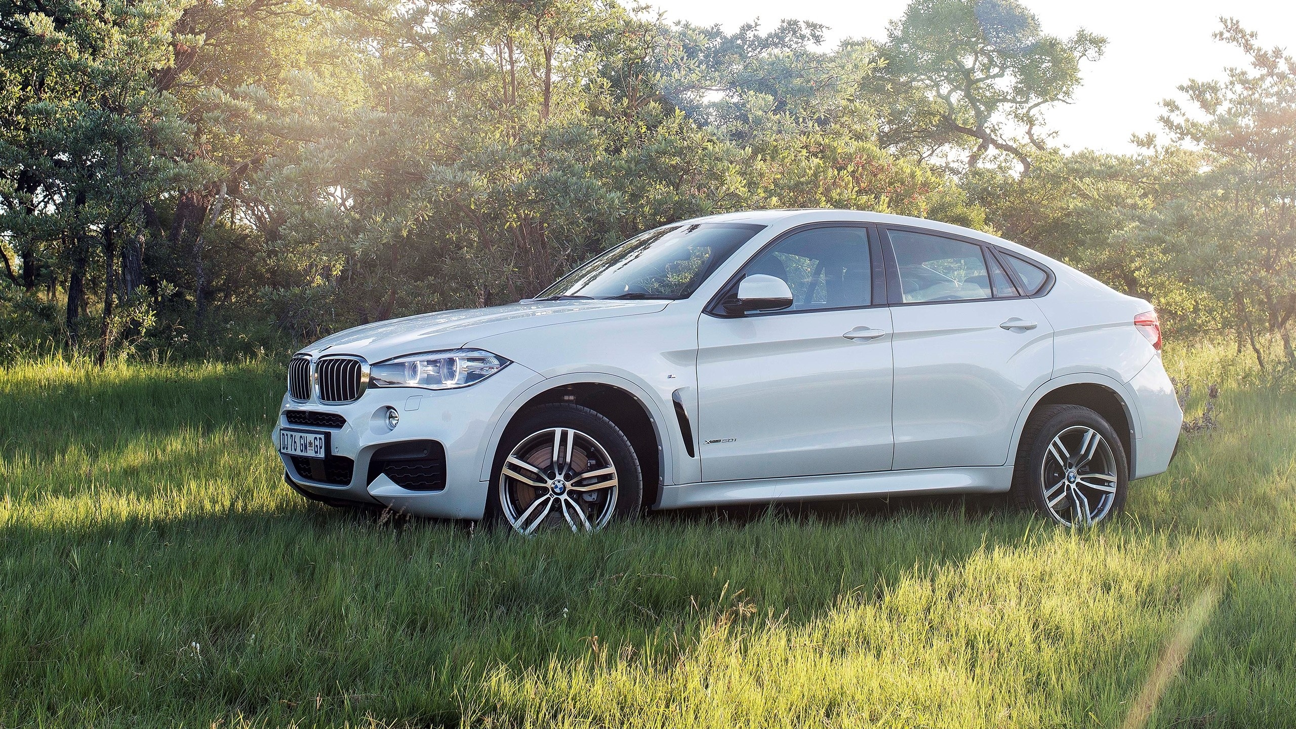 White BMW X6 parked in a grassy field with trees HD Wallpaper