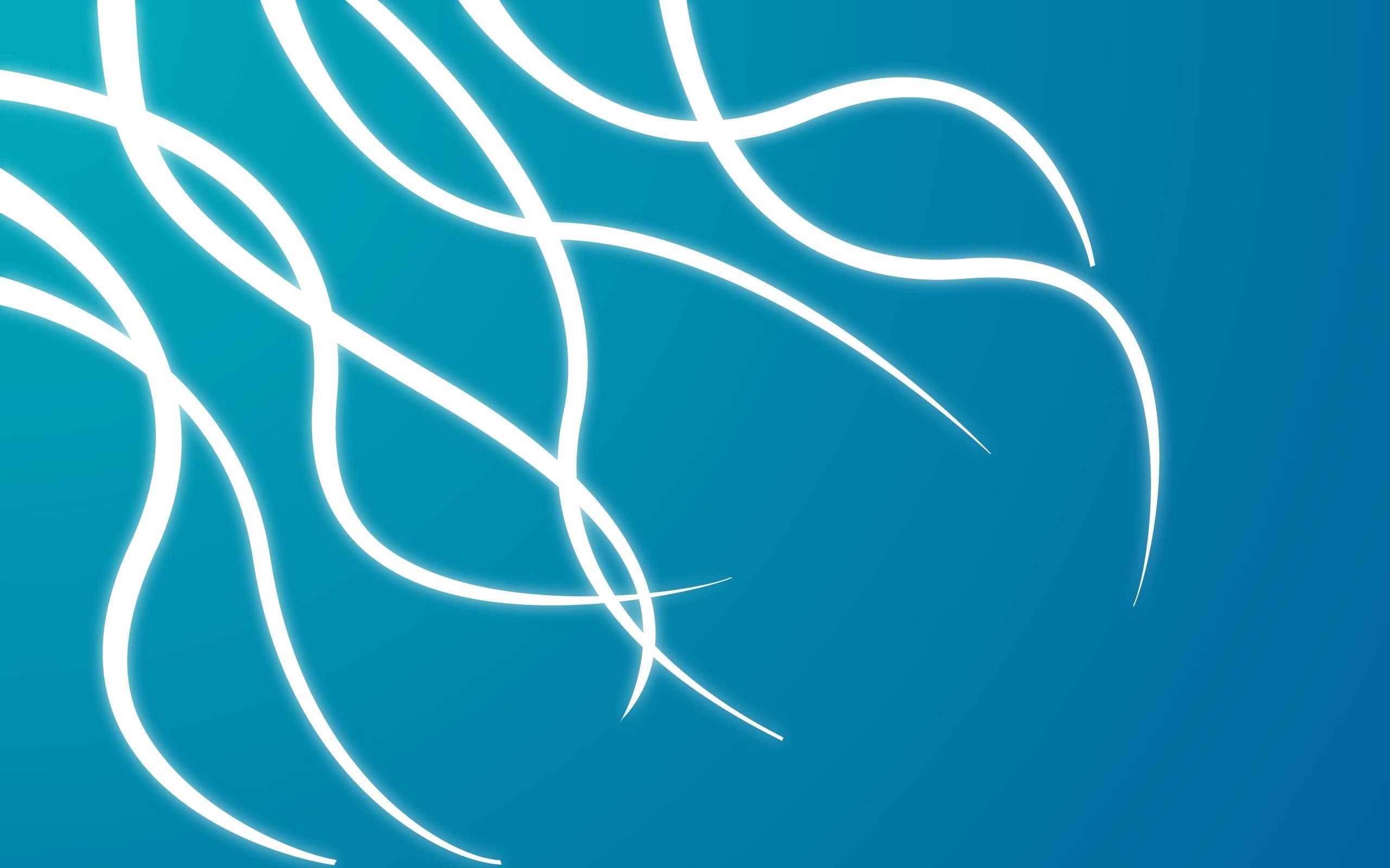 Abstract white lines on blue background HD Wallpaper