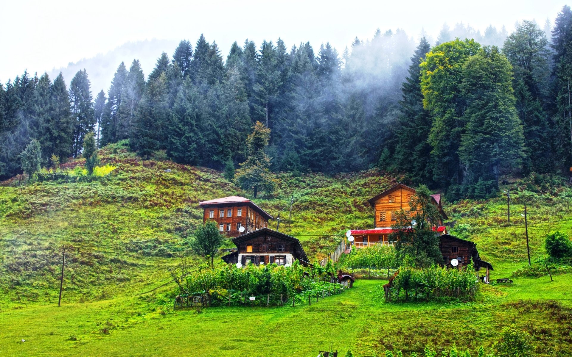 Wooden houses in a green mountain valley with a forest HD Wallpaper