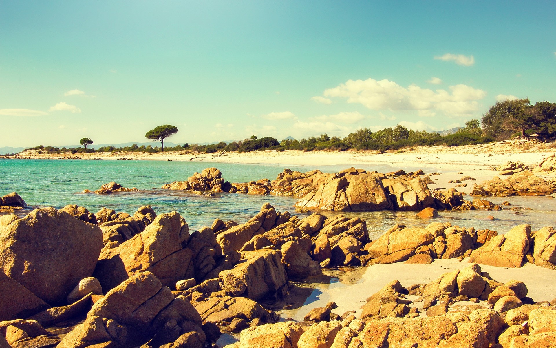 Rocky beach with turquoise water and trees HD Wallpaper