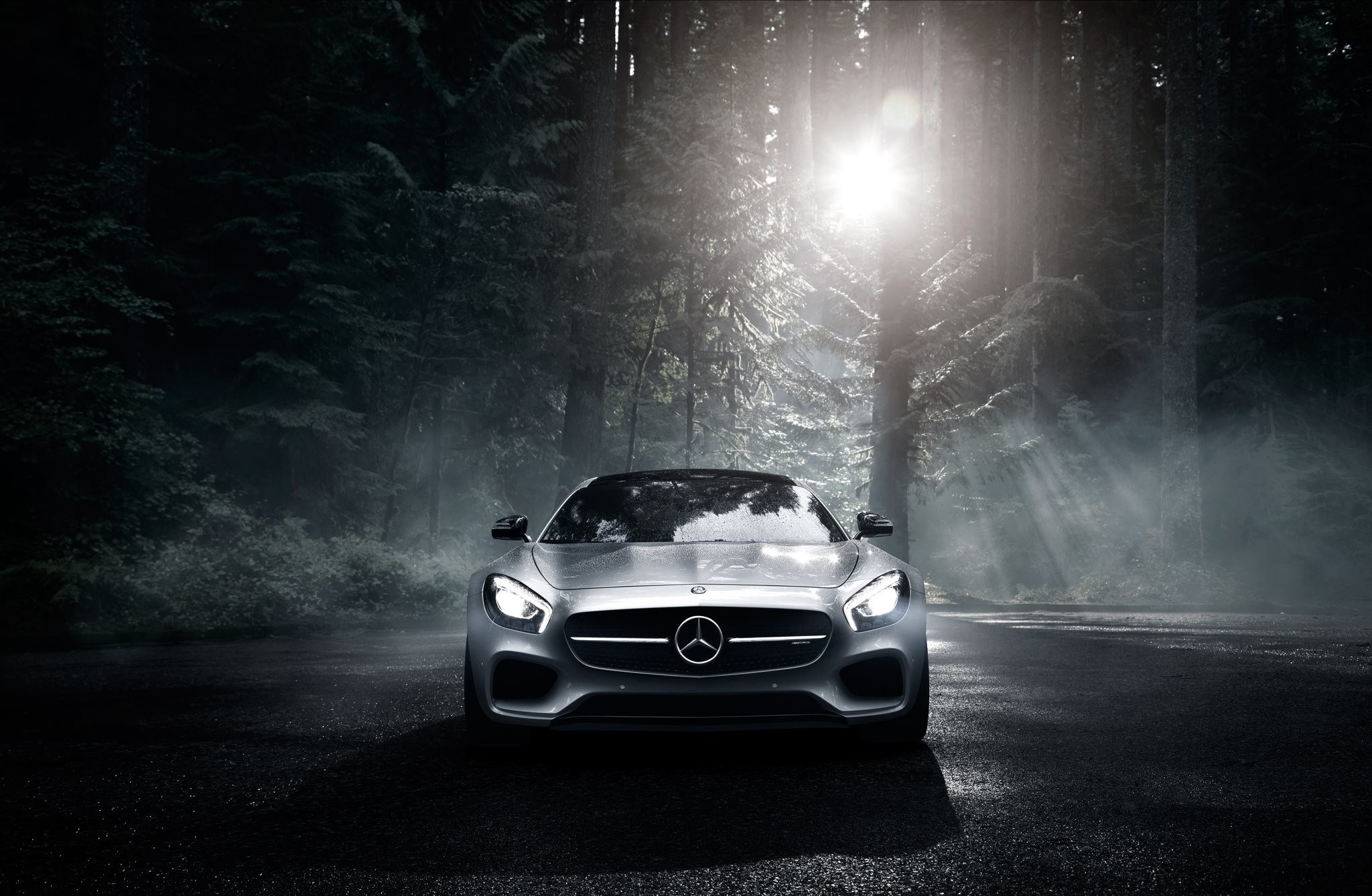 Silver Mercedes-Benz sports car in a foggy forest HD Wallpaper