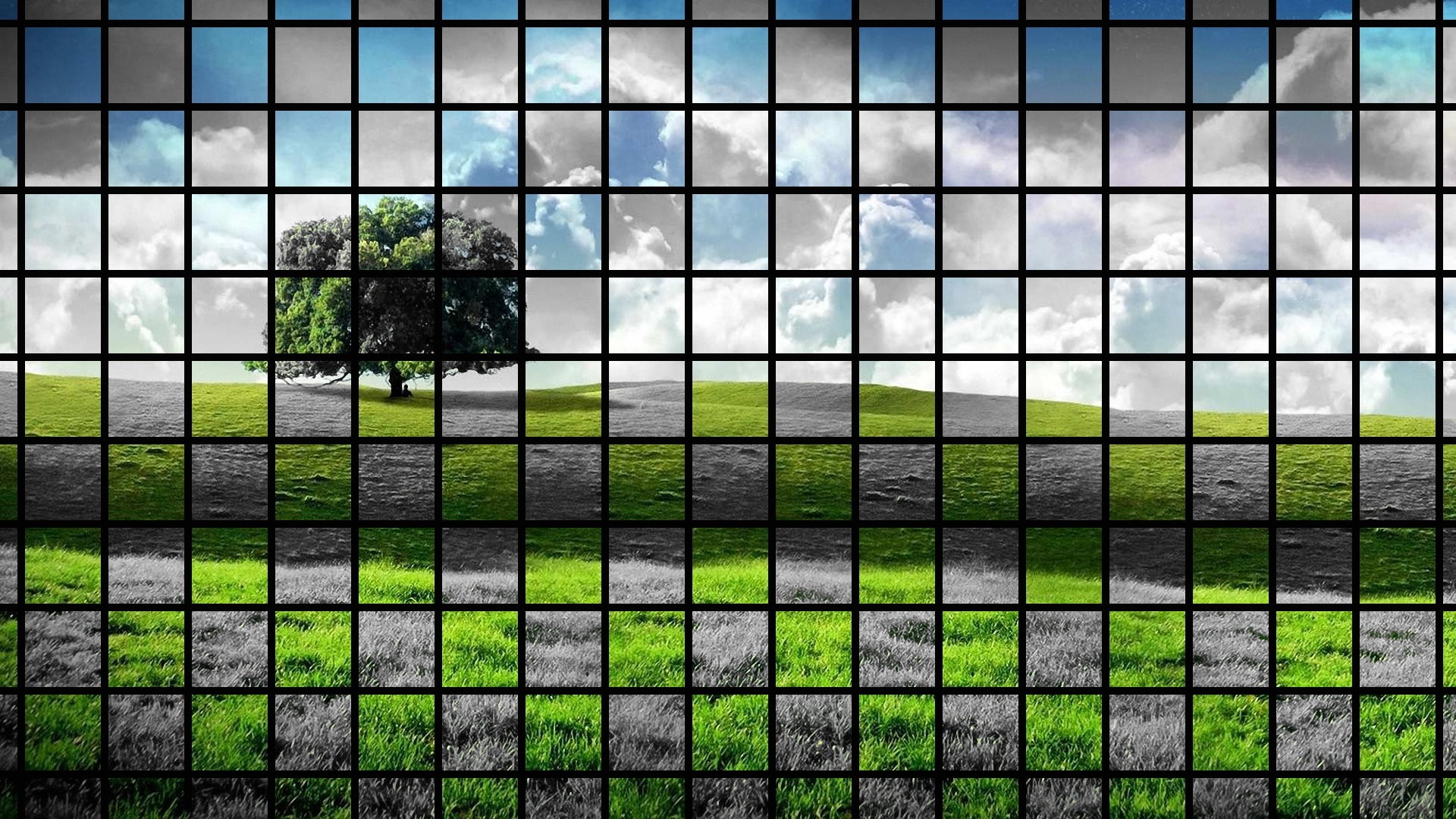 Grid of nature landscape with tree and sky HD Wallpaper