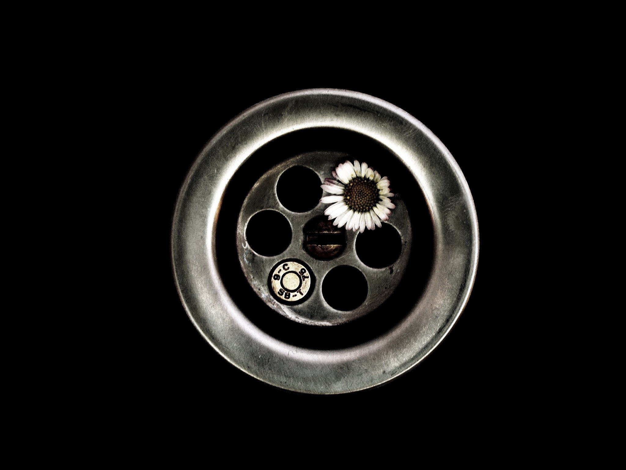 Daisy and bullet casing in a sink drain HD Wallpaper