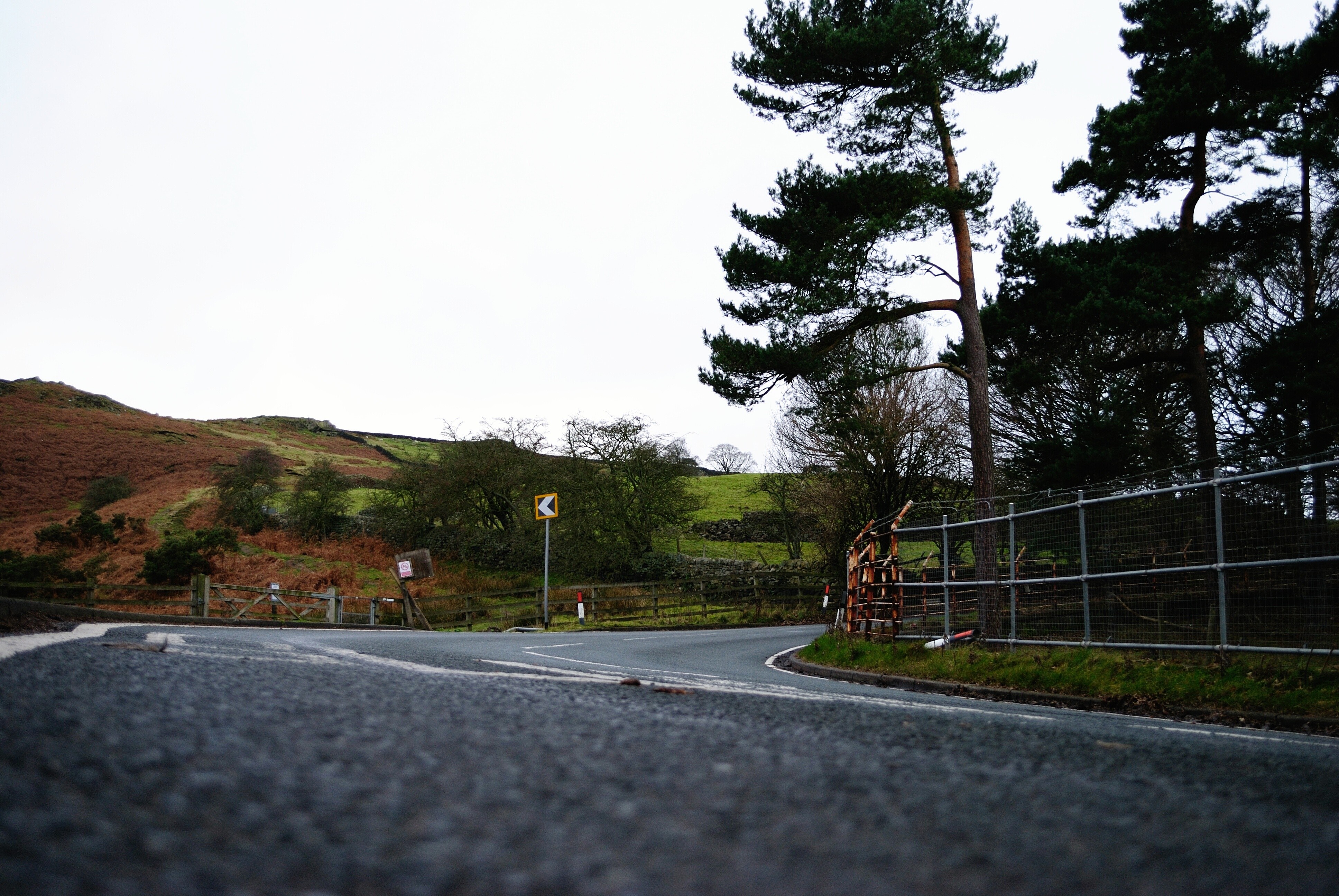 Road curving through hilly landscape with trees and fence HD Wallpaper