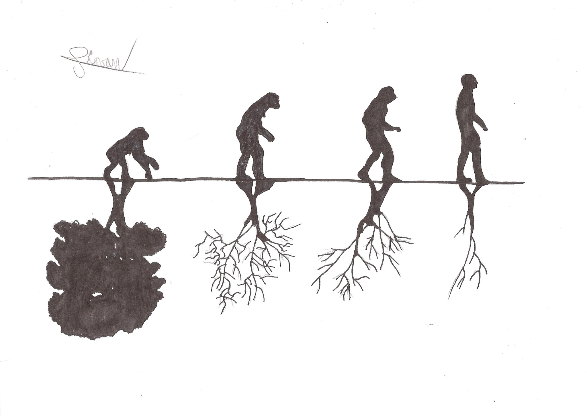 Evolutionary line with roots HD Wallpaper