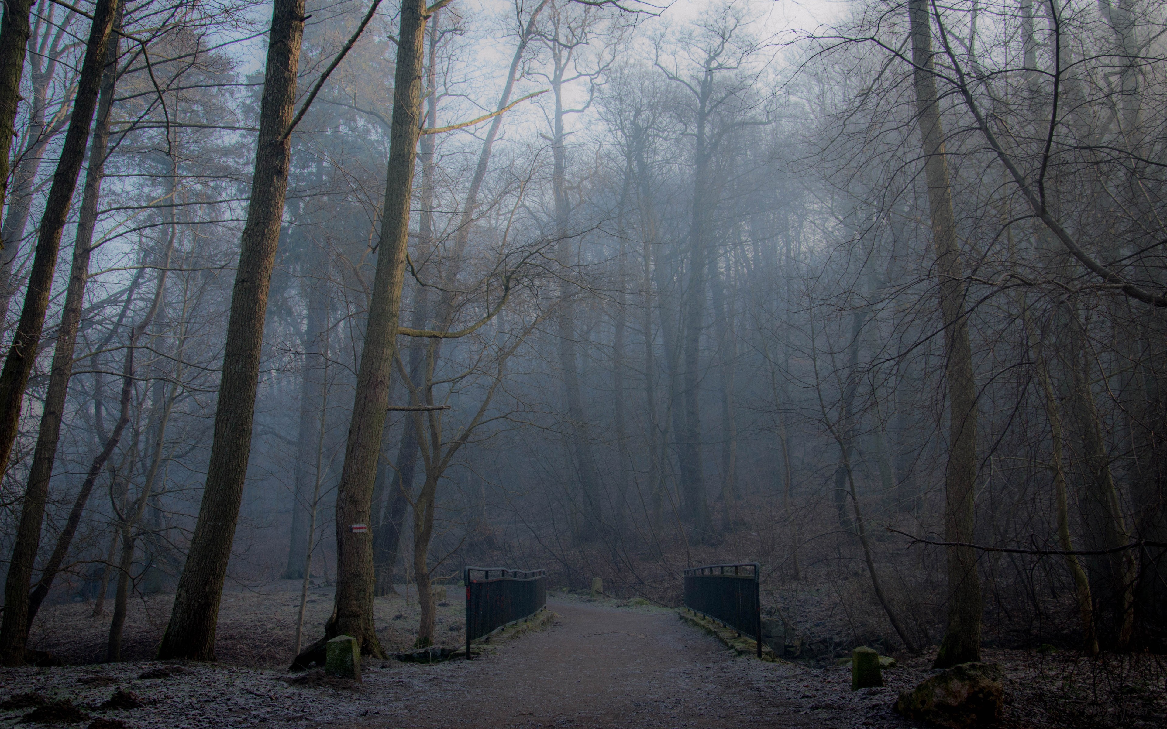 Misty forest with a bridge in winter HD Wallpaper