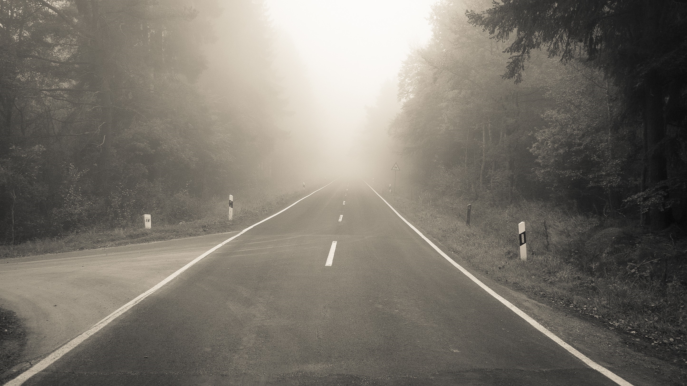 Road disappearing into thick fog HD Wallpaper