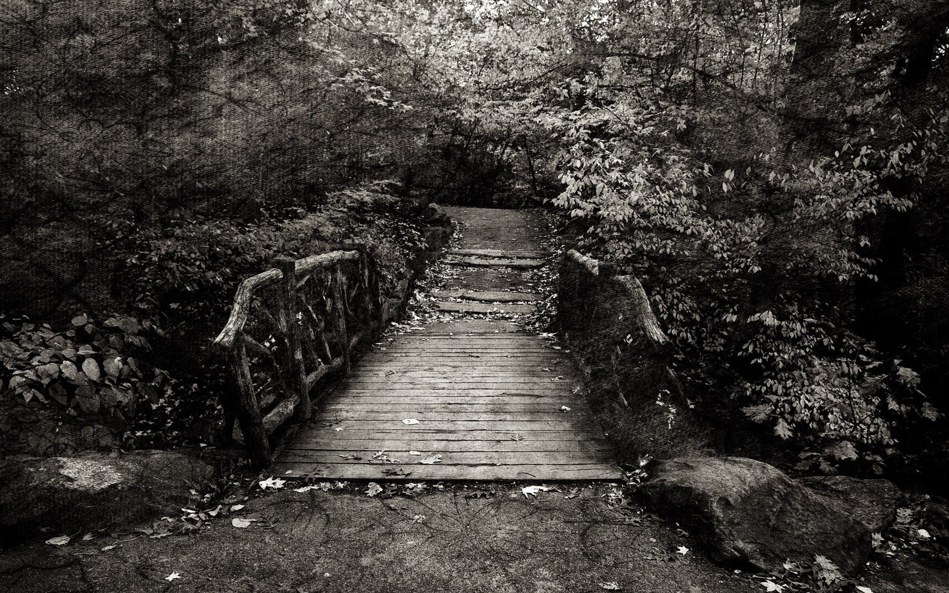 Wooden bridge in a dark forest HD Wallpaper