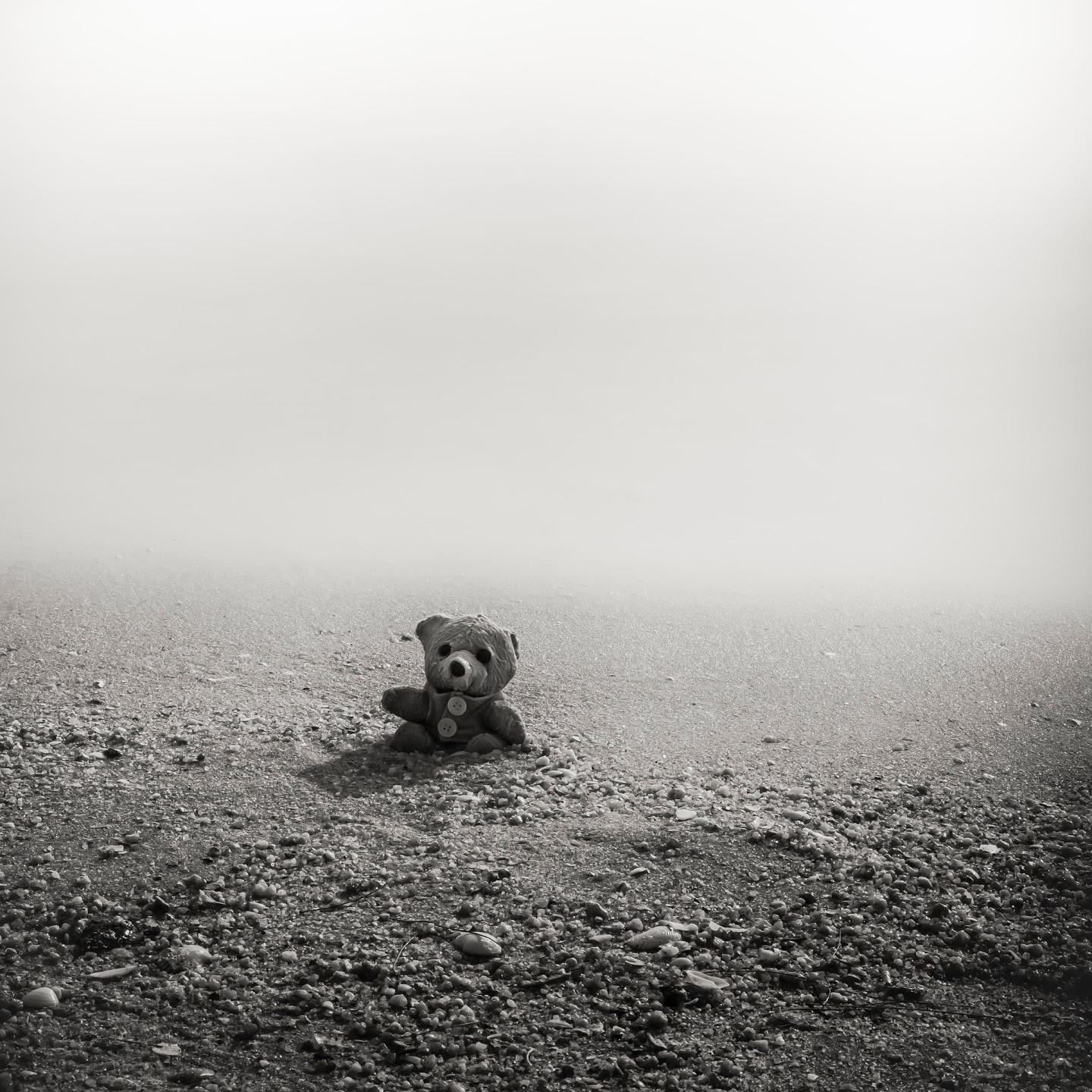 A lone teddy bear sits on a foggy beach HD Wallpaper