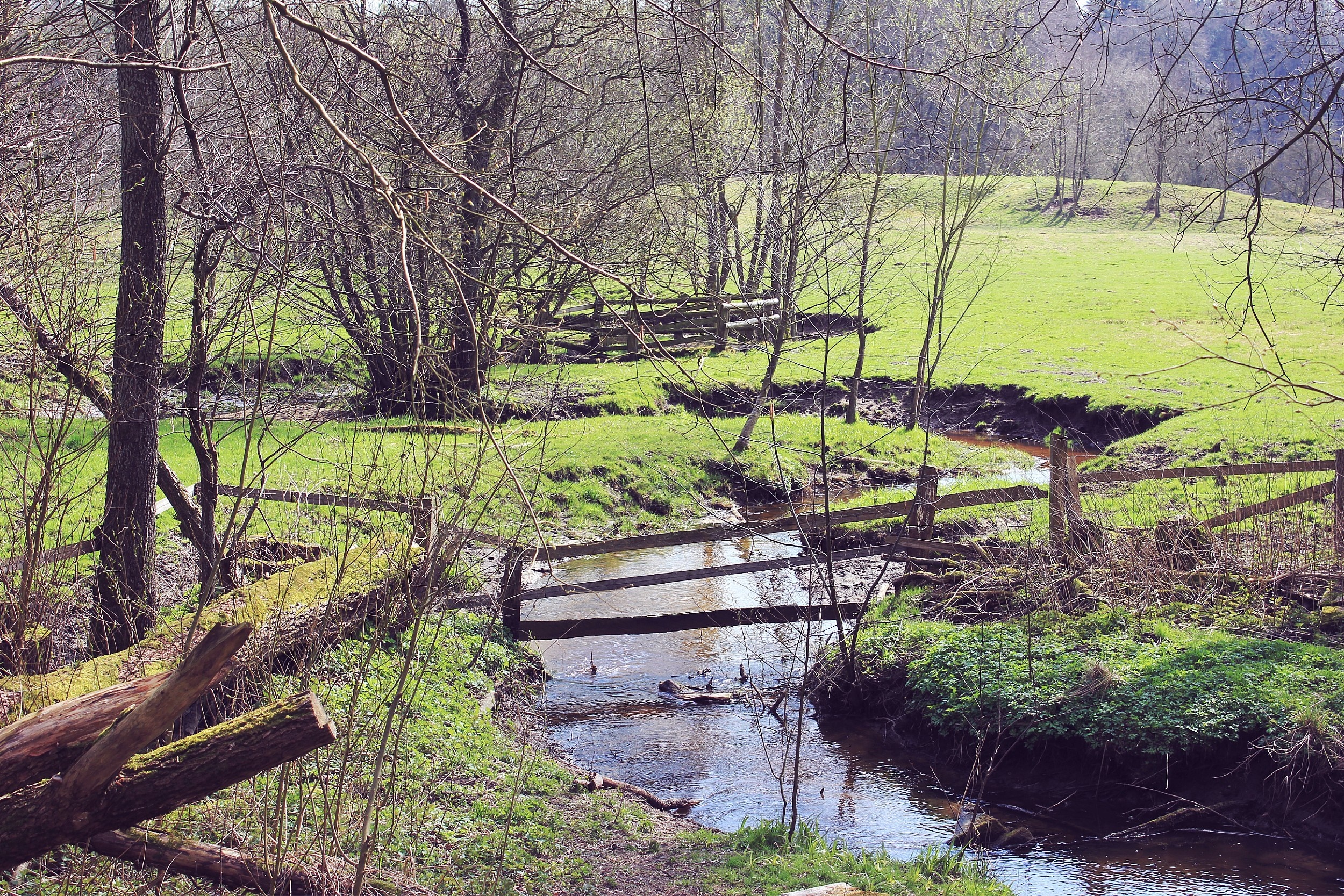 A stream flows through a wooded landscape with a wooden fence HD Wallpaper
