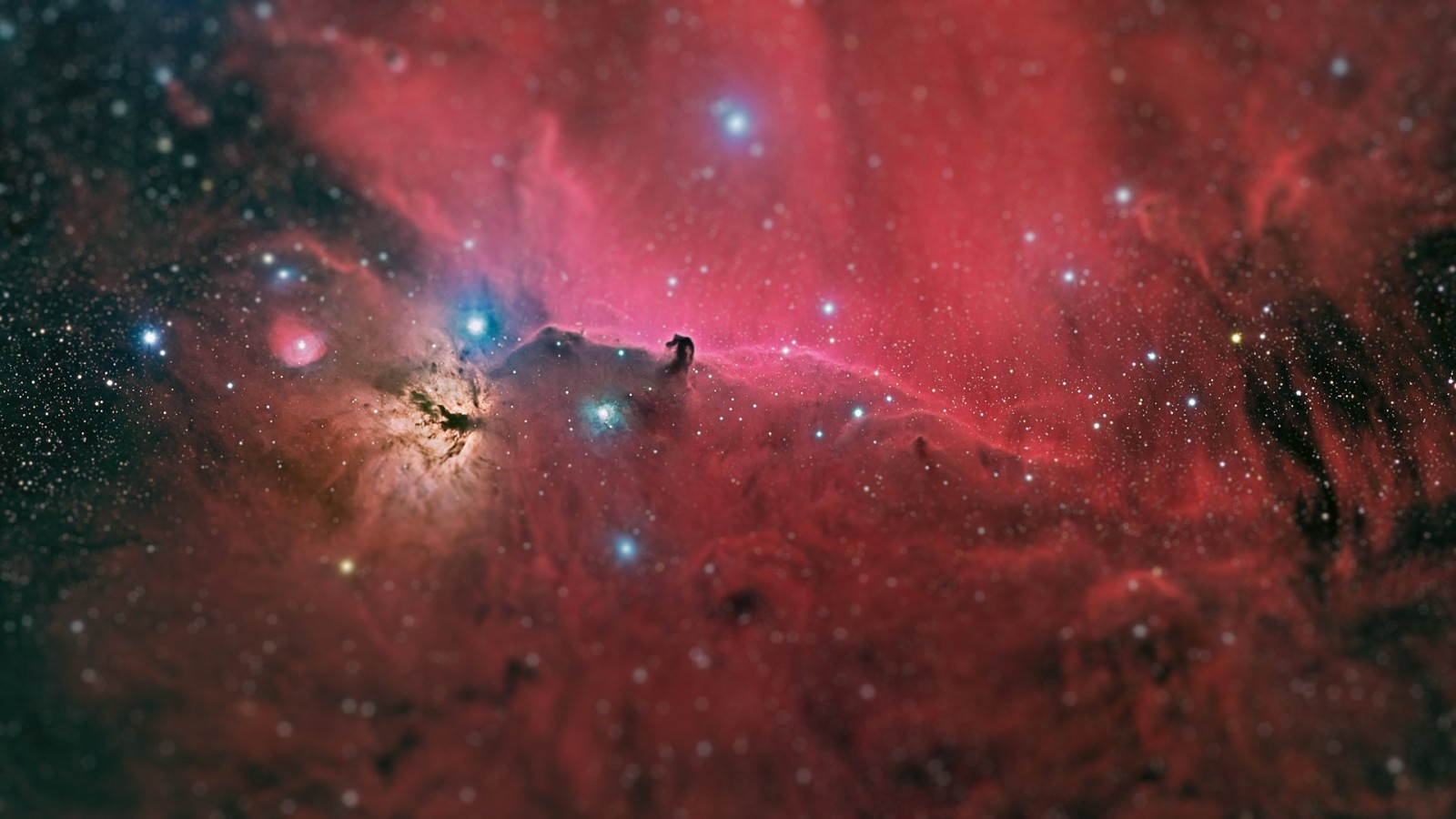 The Horsehead Nebula in the constellation Orion HD Wallpaper