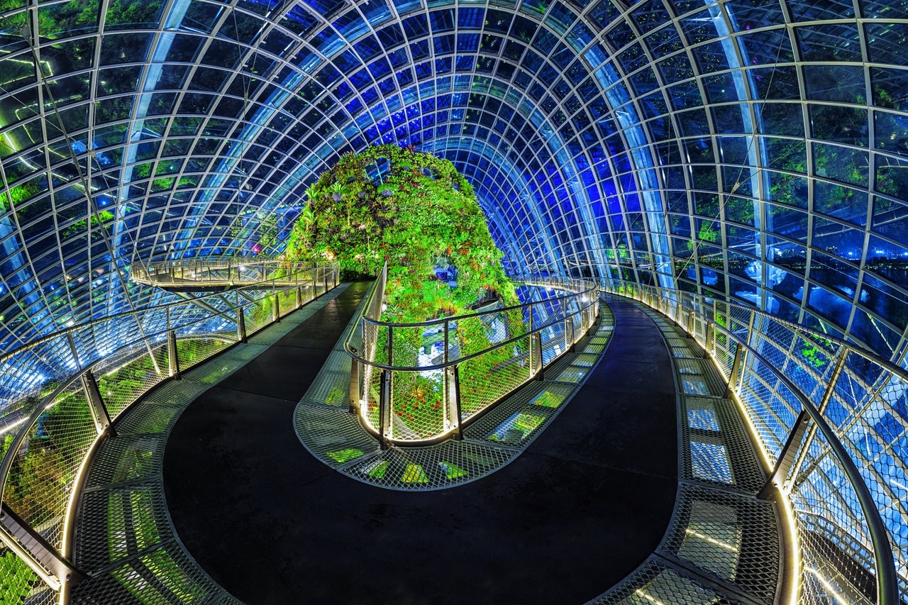 Indoor botanical garden with illuminated pathways HD Wallpaper