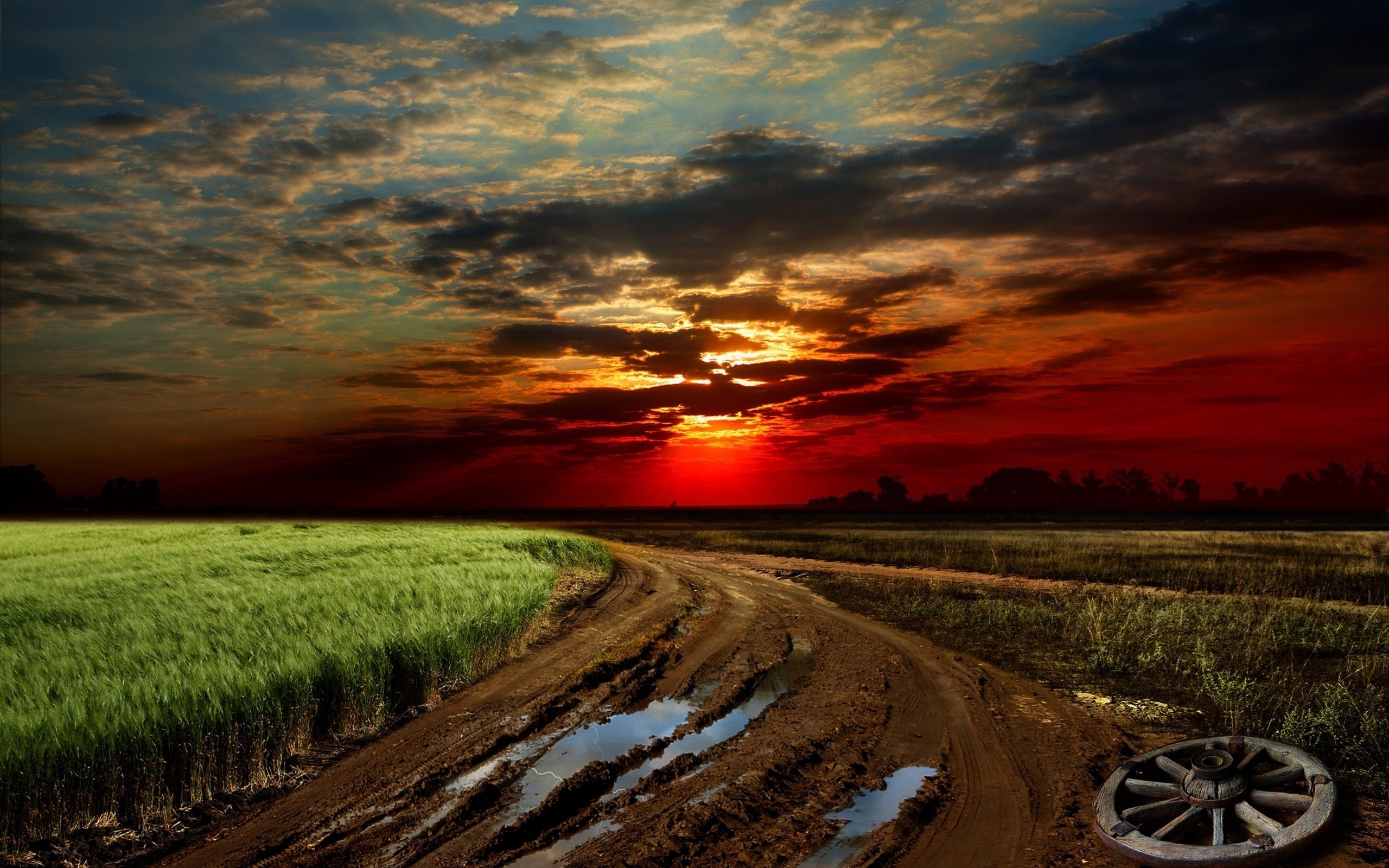 Muddy road through a field at sunset HD Wallpaper