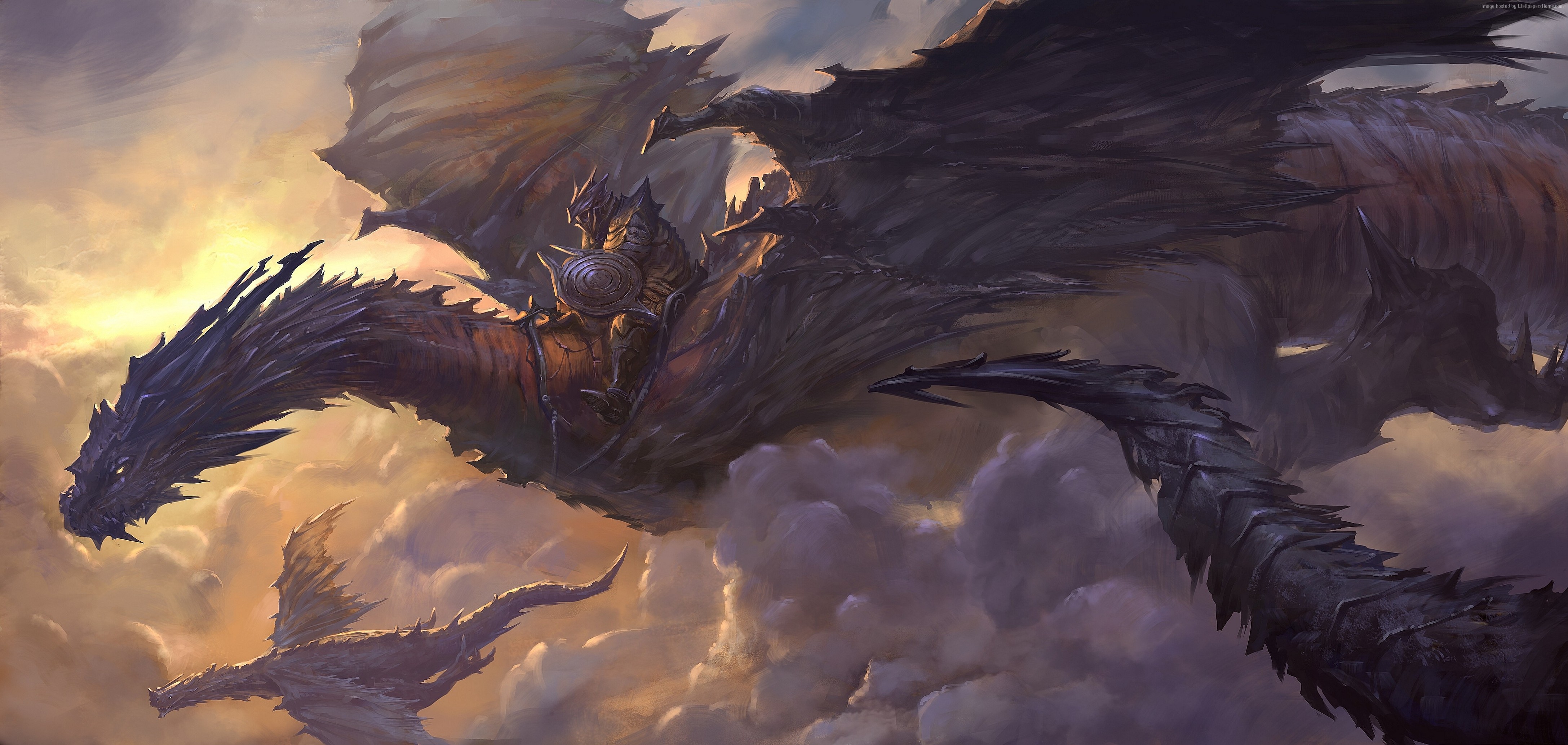 Fantasy art of a dragon rider in the sky HD Wallpaper