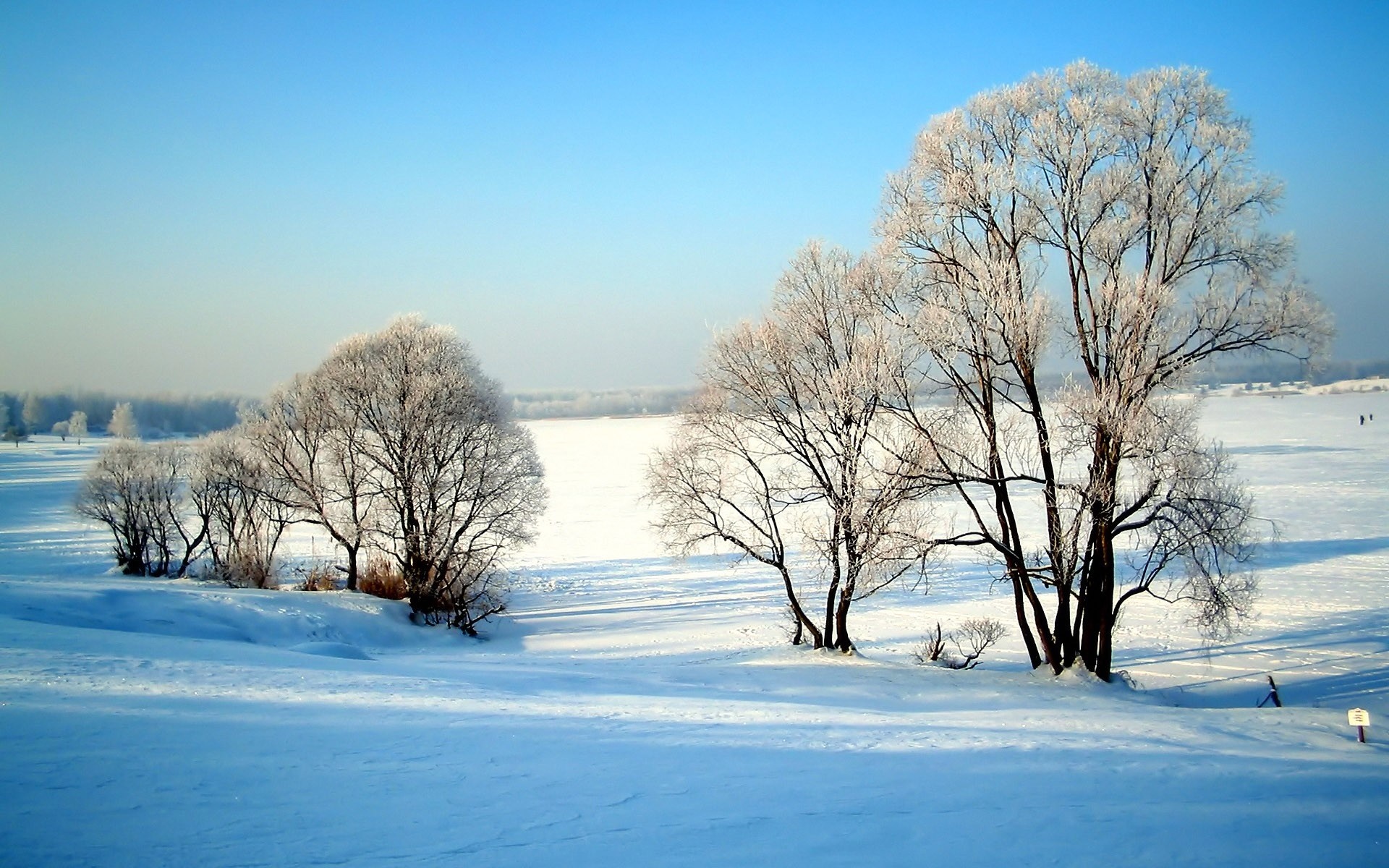 Snowy landscape with frosted trees under a clear blue sky HD Wallpaper