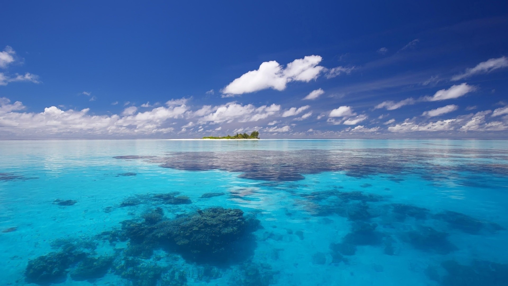 Tropical island in a clear blue ocean with coral reefs HD Wallpaper