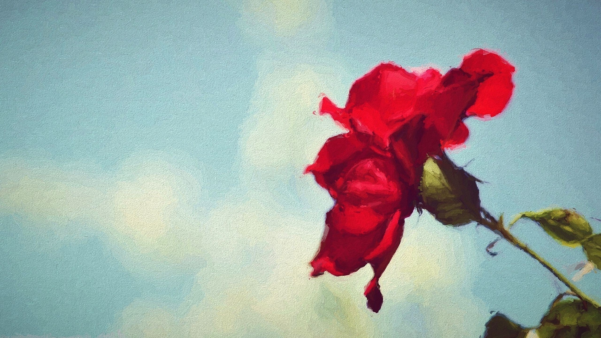 Red rose painting against a blue sky HD Wallpaper
