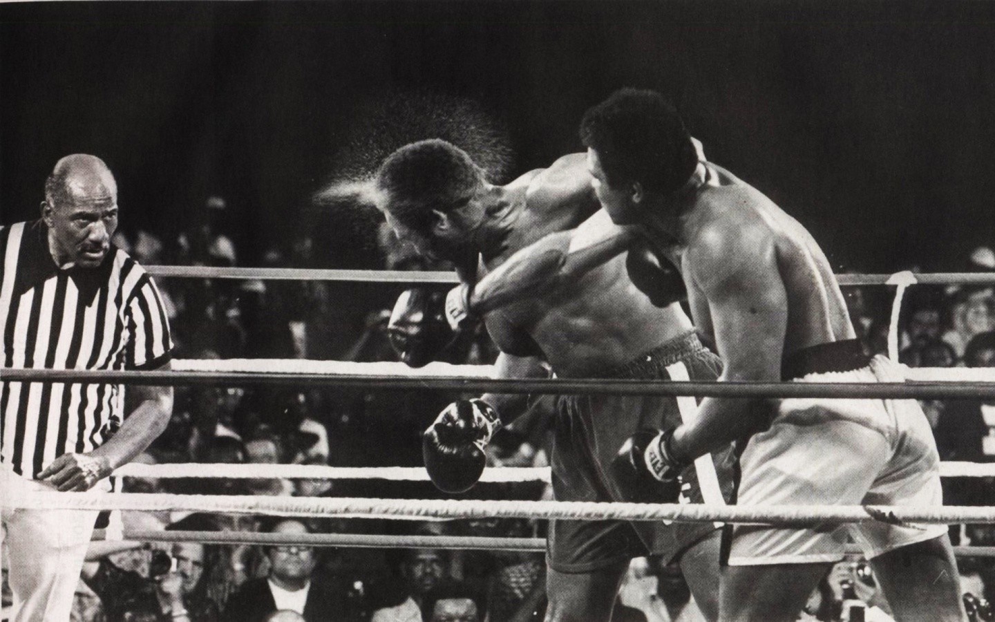 Muhammad Ali boxing match with referee HD Wallpaper
