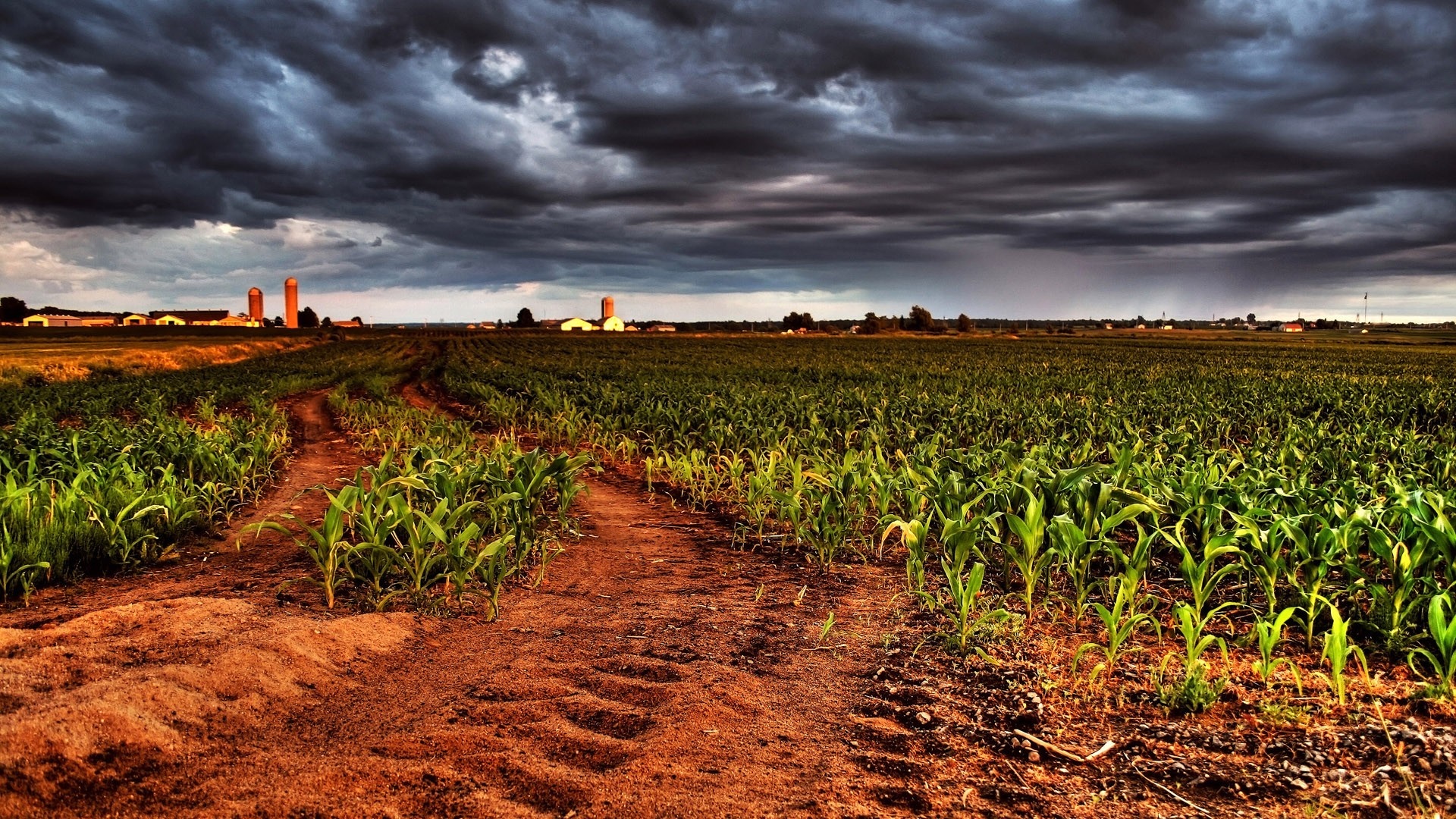 Farm landscape with cornfield and silos under stormy sky HD Wallpaper