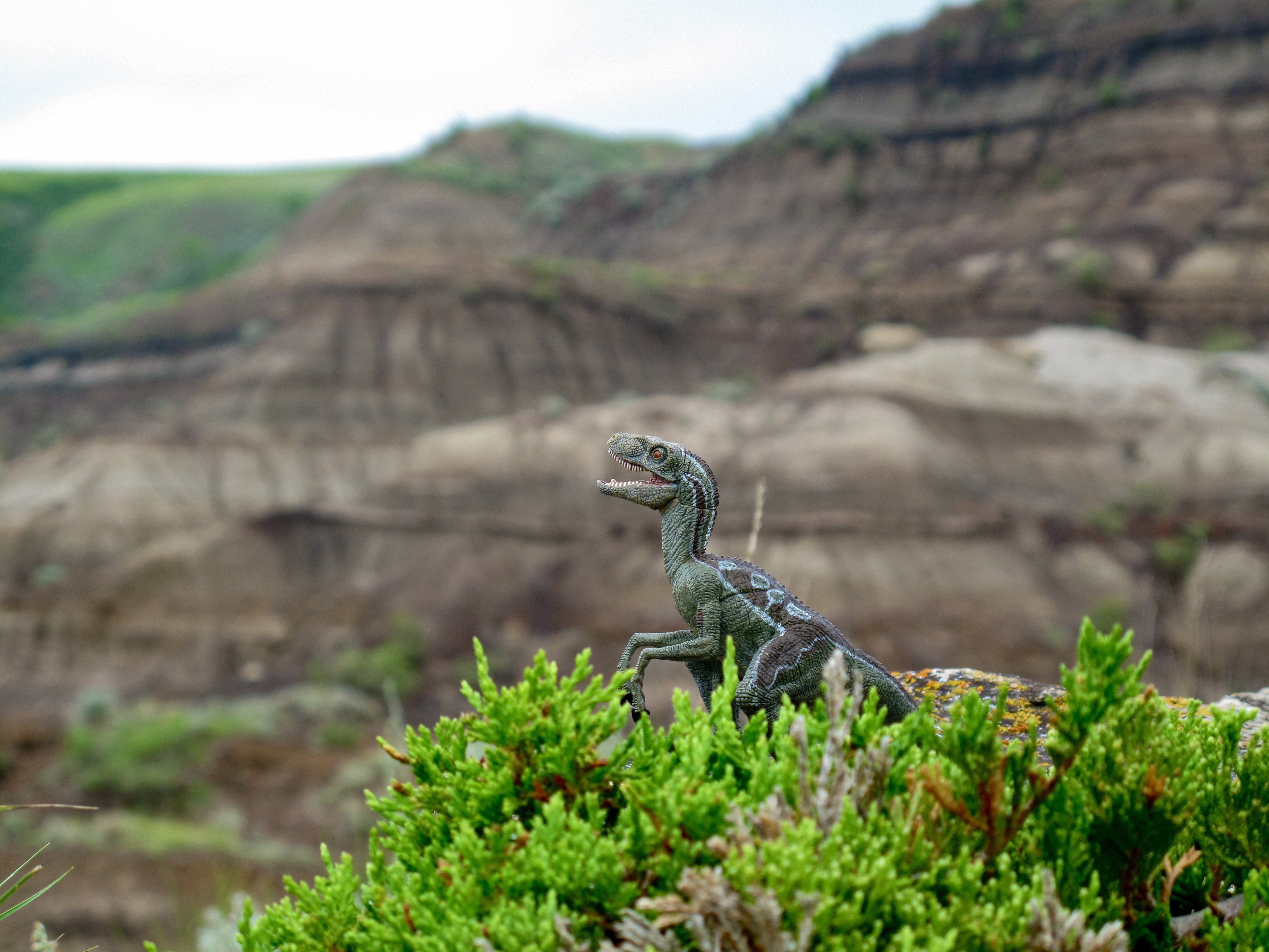Dinosaur toy on a rock with green bushes and badlands HD Wallpaper