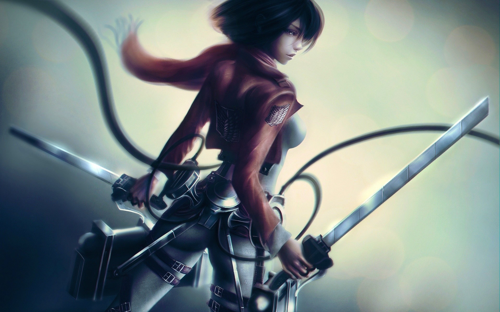 Mikasa Ackerman from Shingeki no Kyojin with swords HD Wallpaper