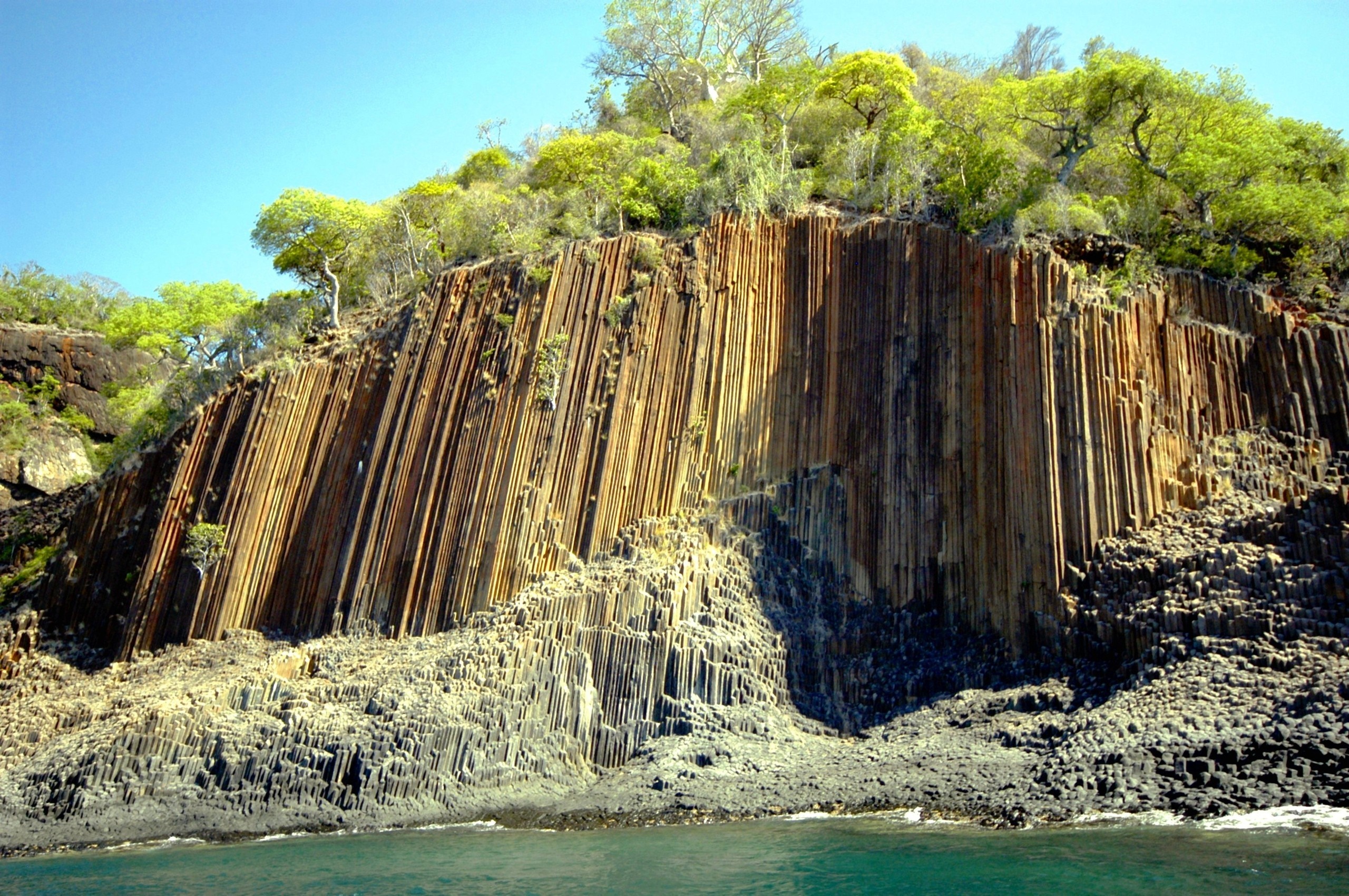 Columnar basalt cliff formation on a coast with trees HD Wallpaper