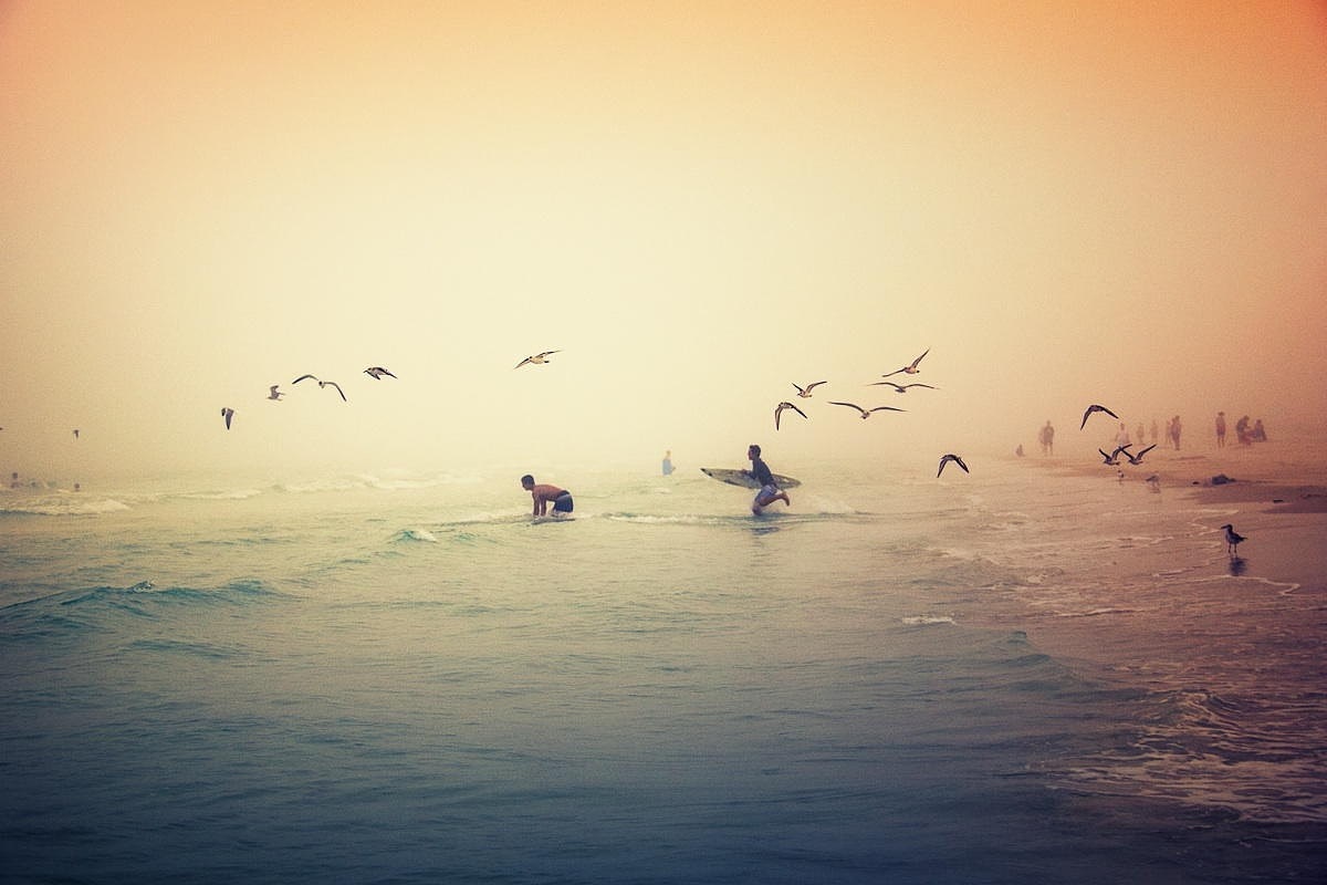 Surfers and seagulls at sunrise on a foggy beach HD Wallpaper