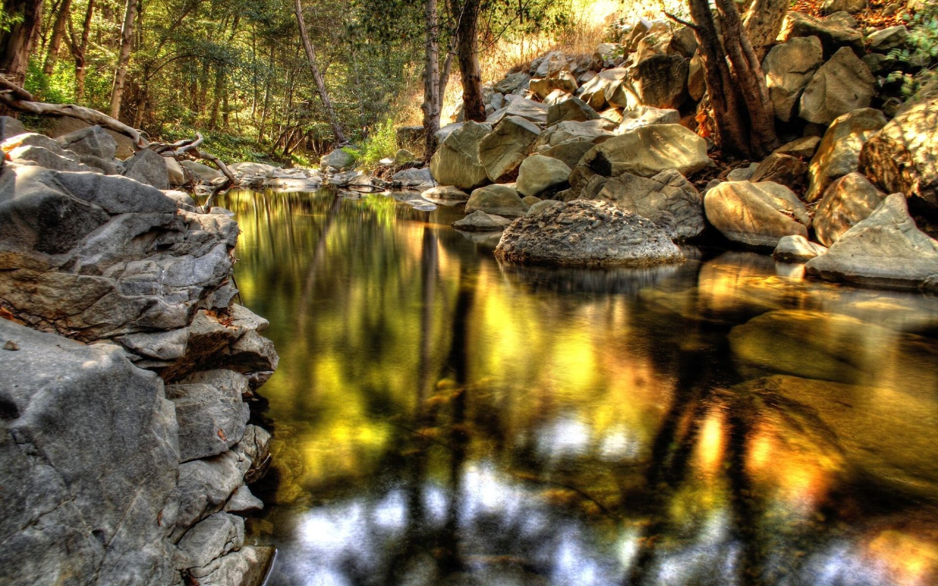 Stream flowing through a rocky forest with reflections HD Wallpaper